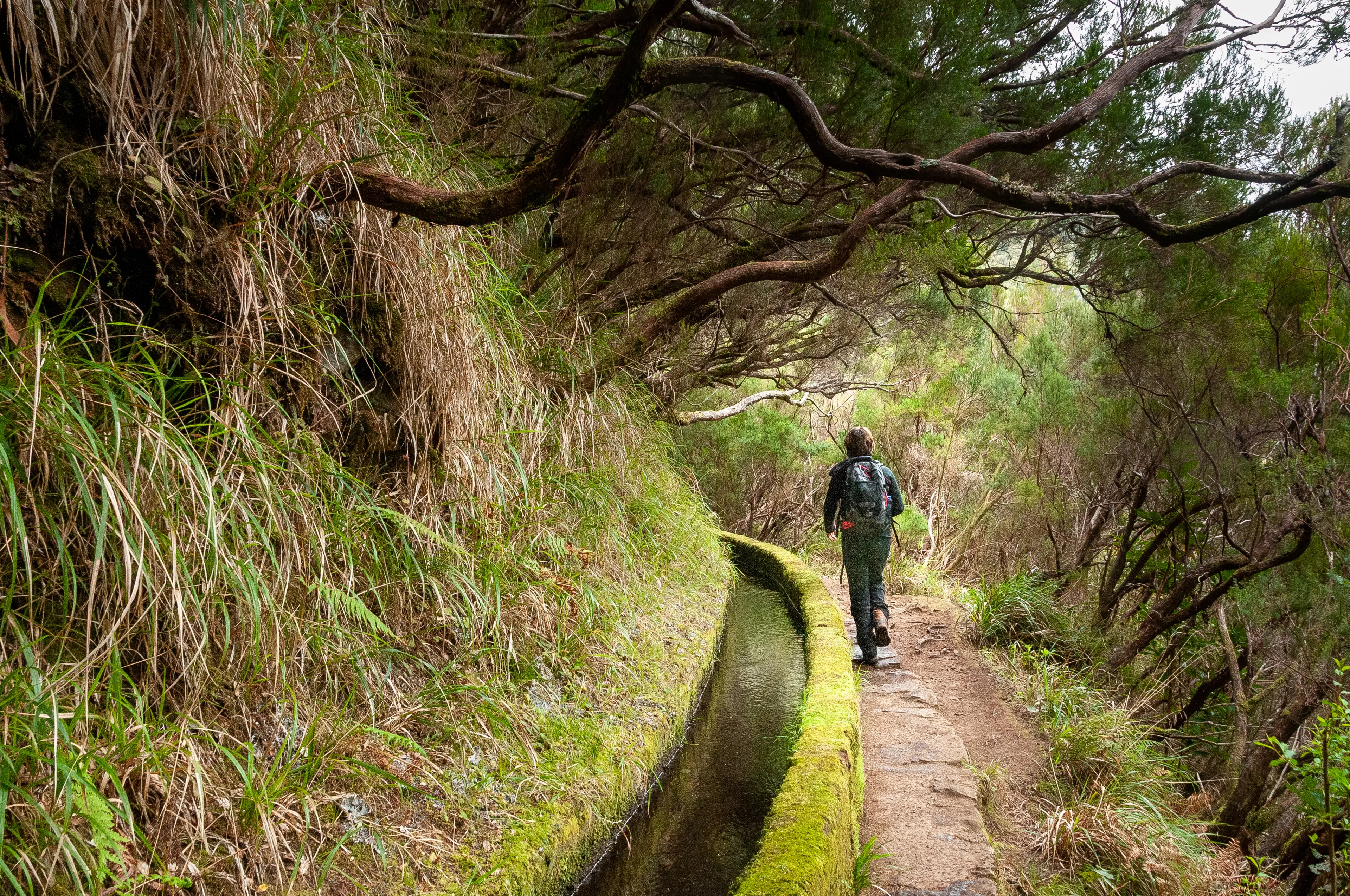Levada Walks