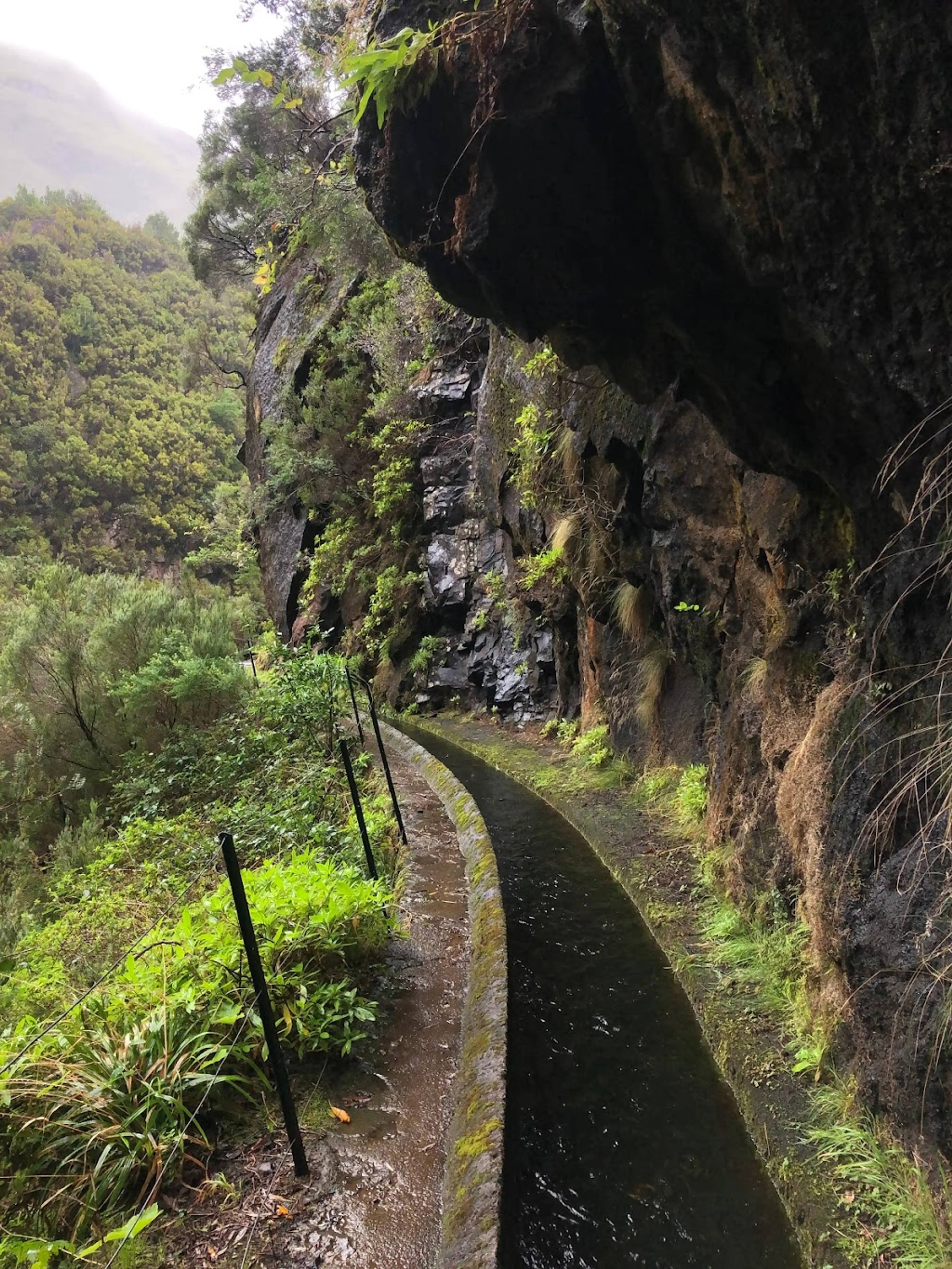 Levada hike