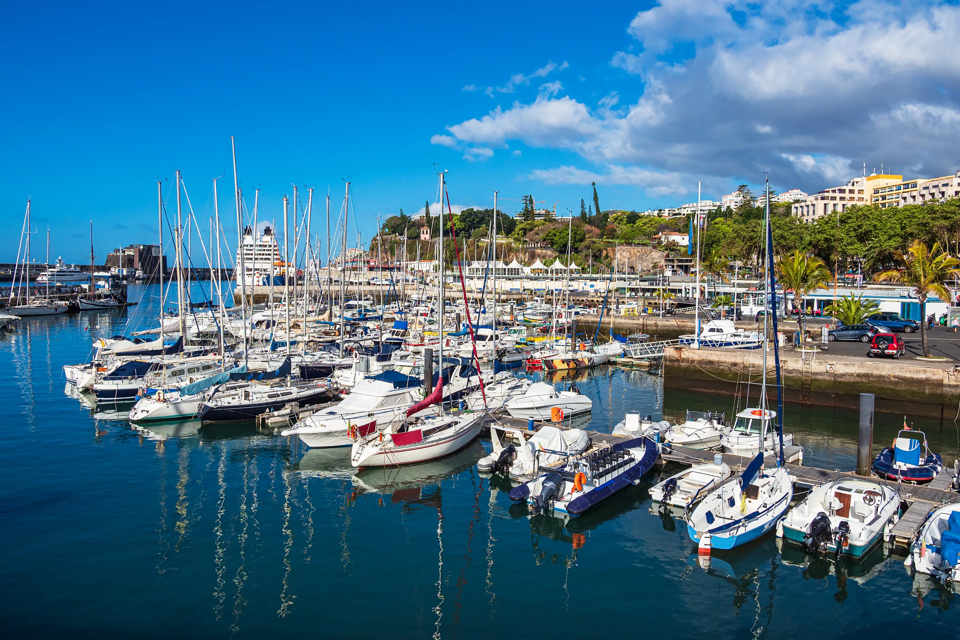 Marina in Funchal