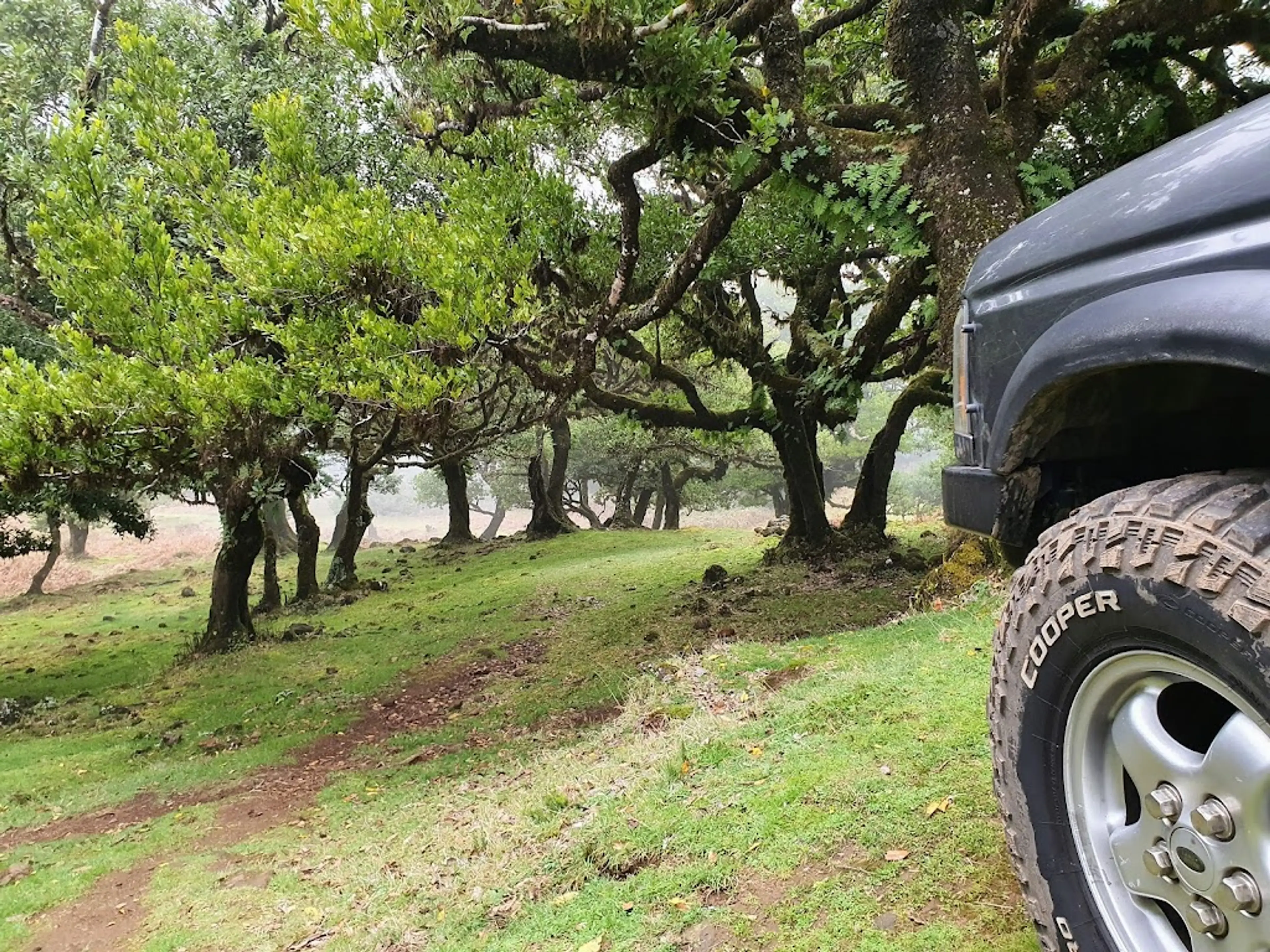 Off-road Jeep Safari