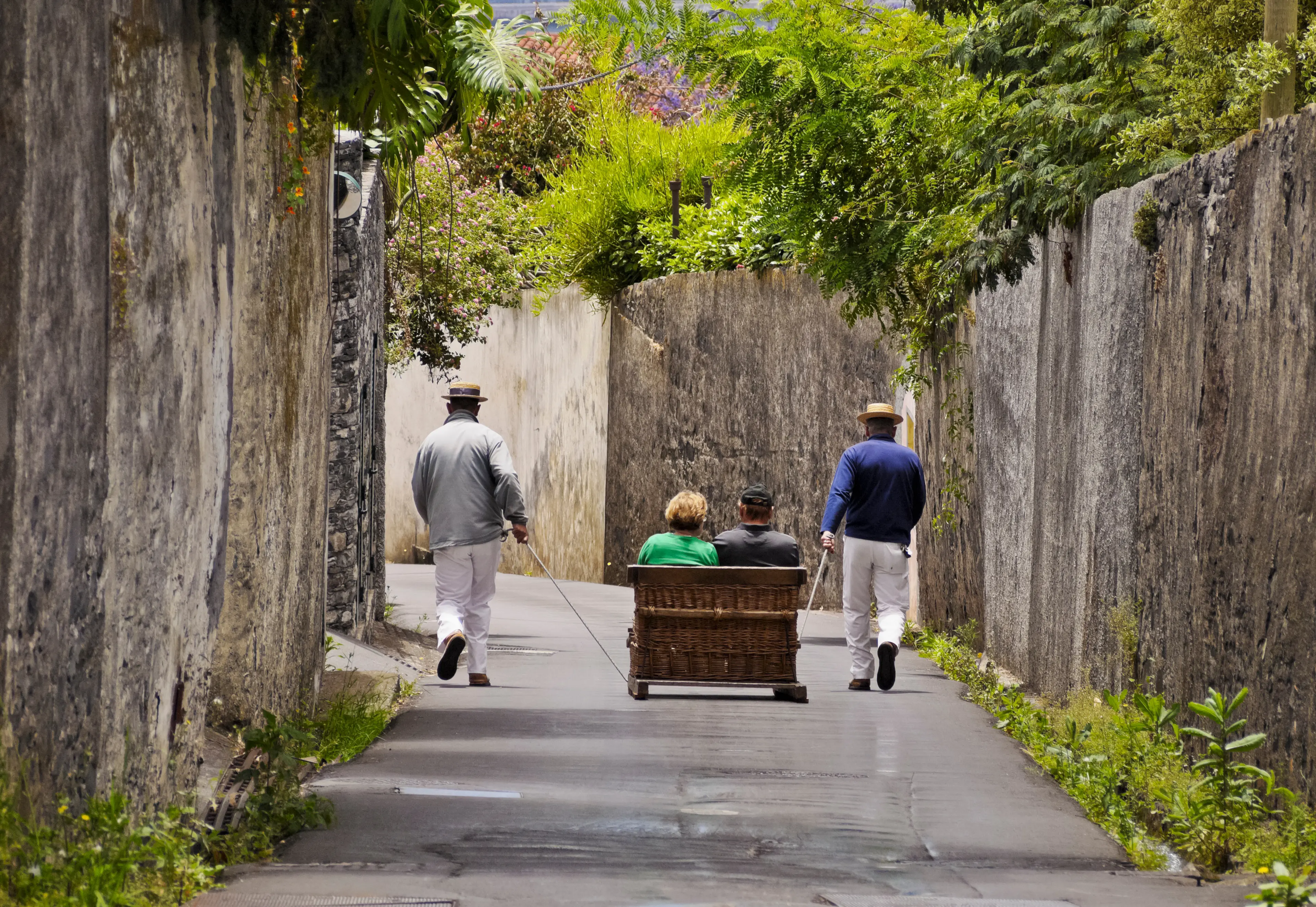 Toboggan ride from Monte to Funchal