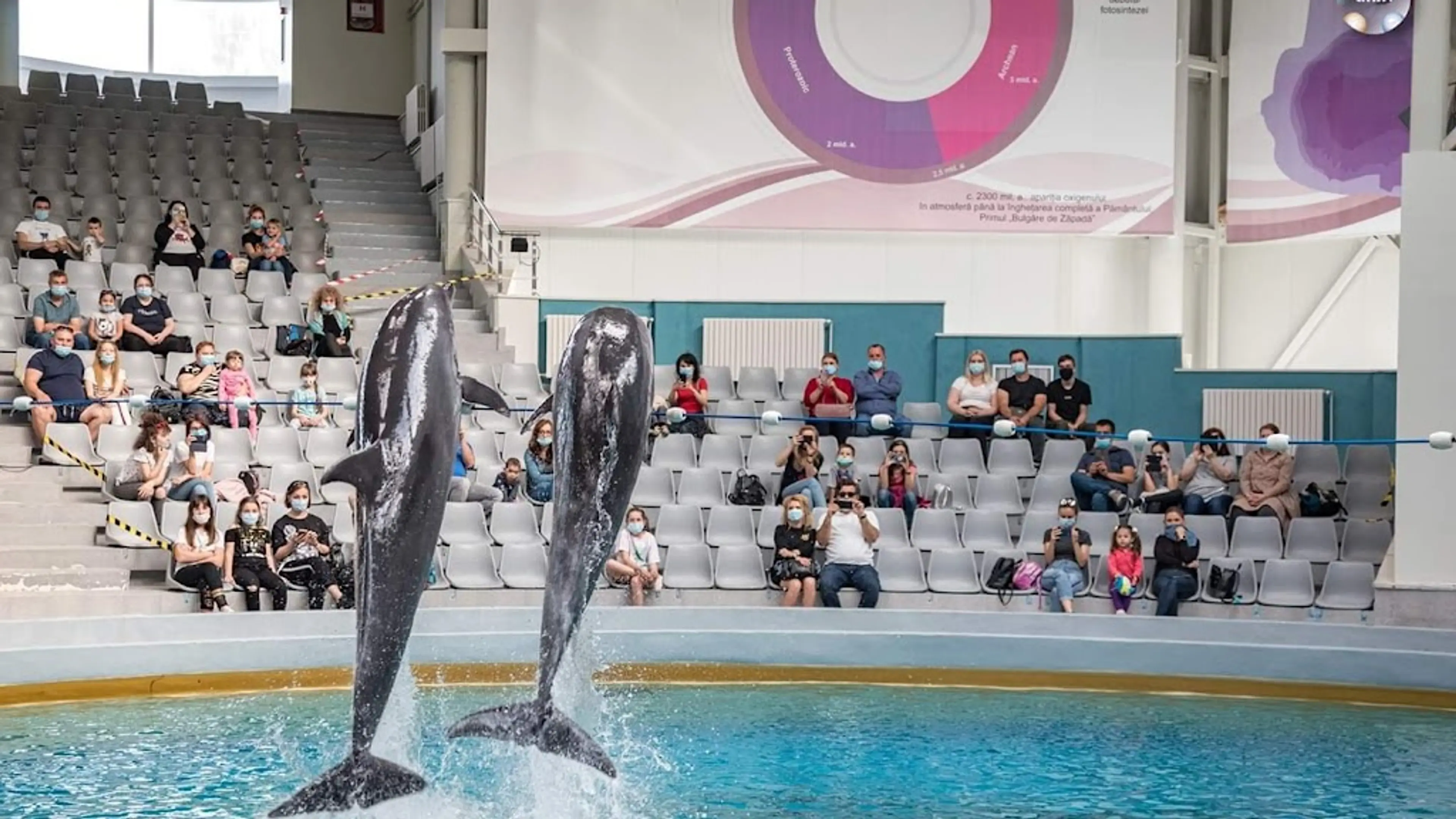 Constanta Dolphinarium