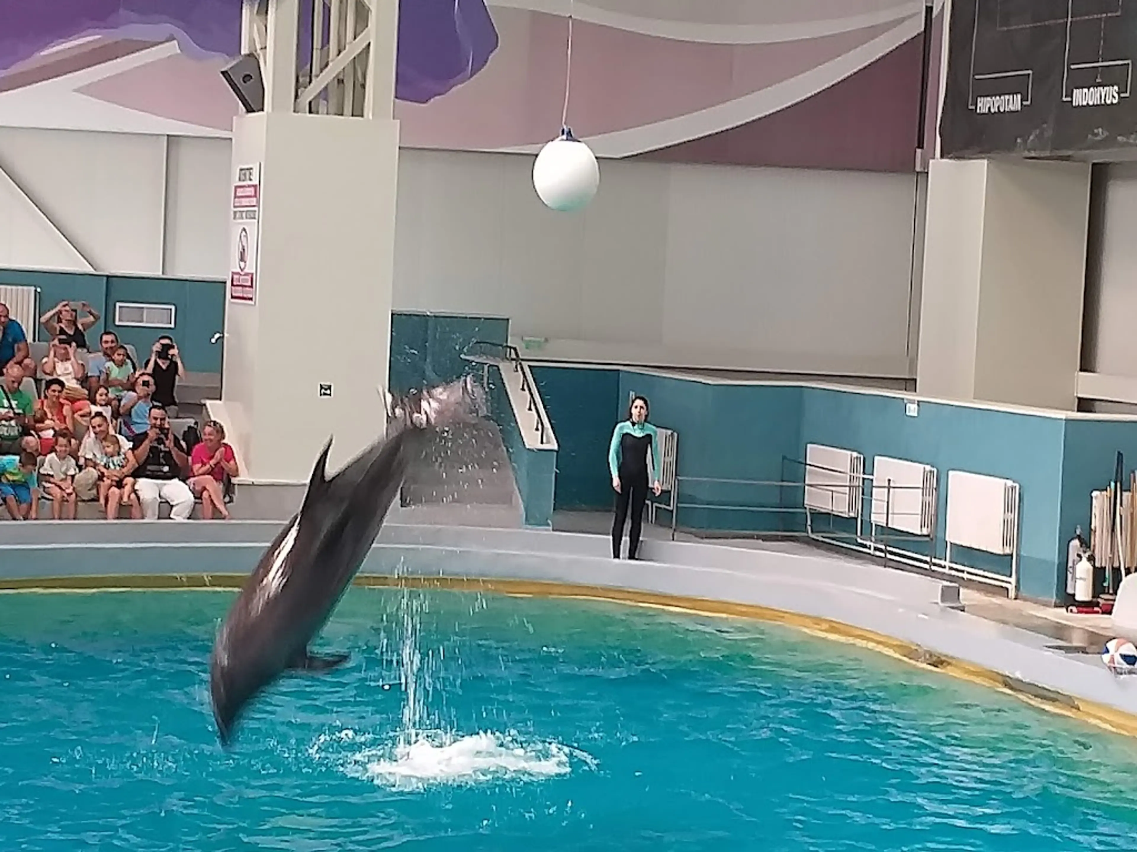 Dolphinarium