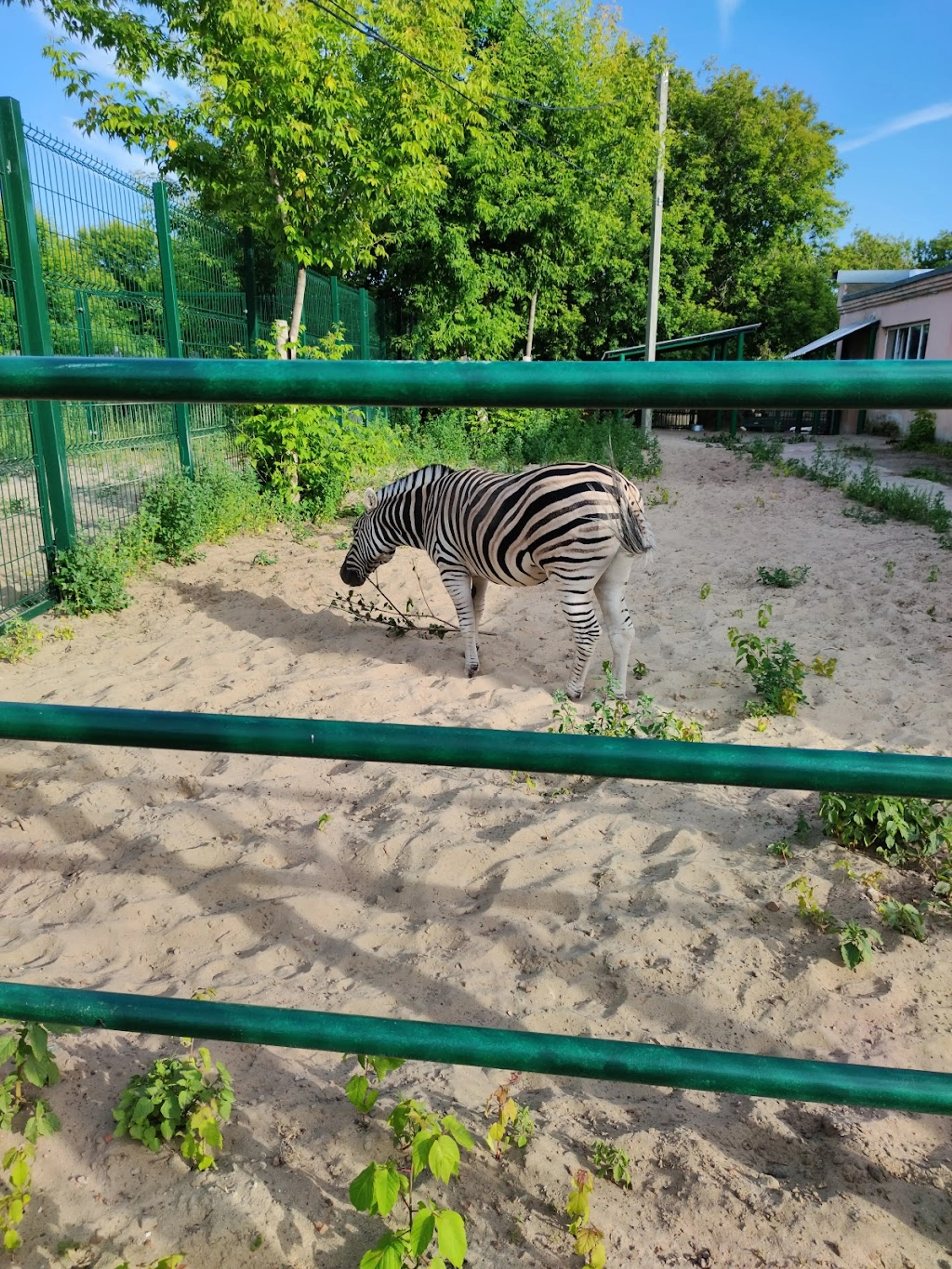 Kazan Zoo