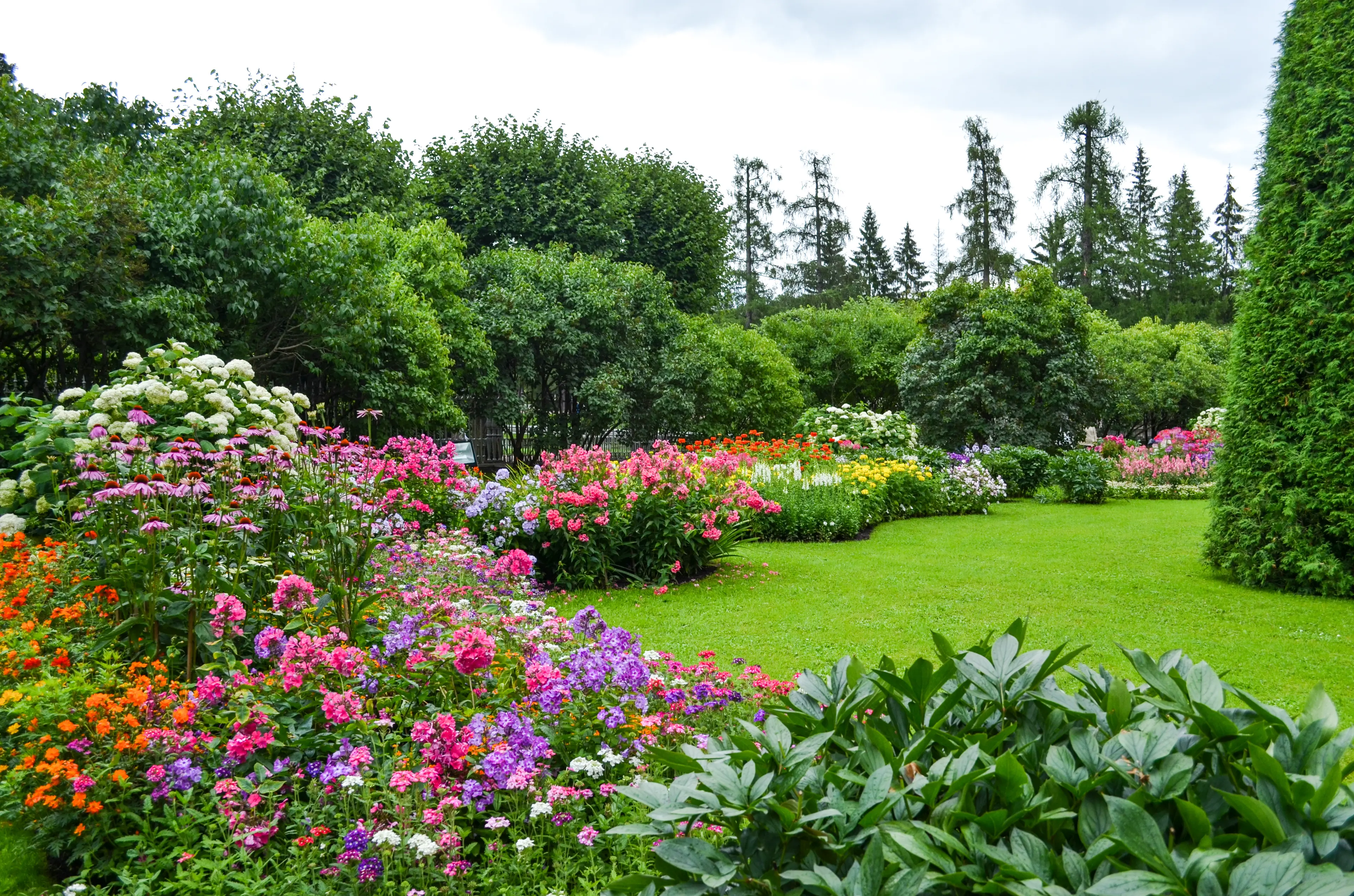 Summer Garden