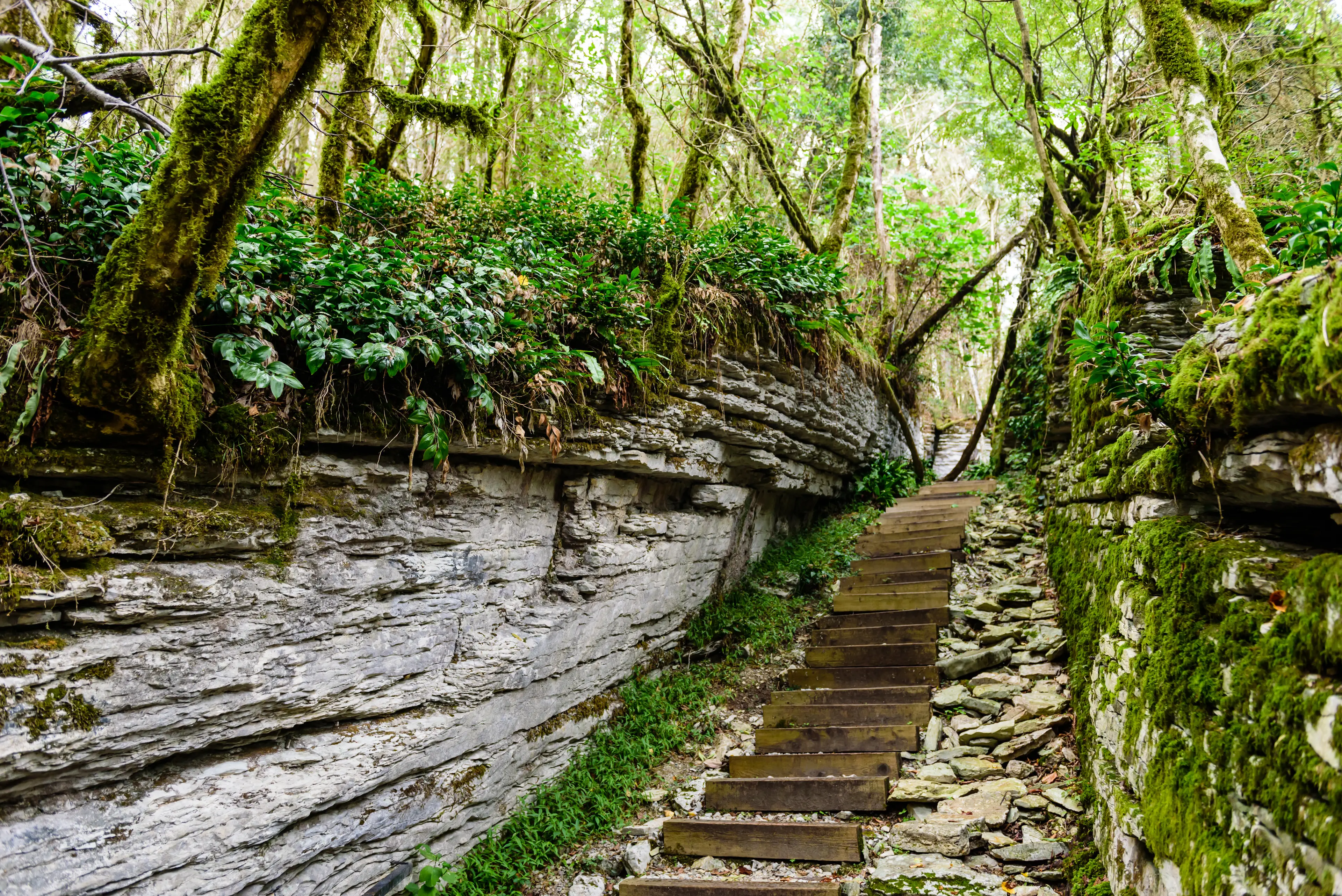 Caucasian Biosphere Reserve