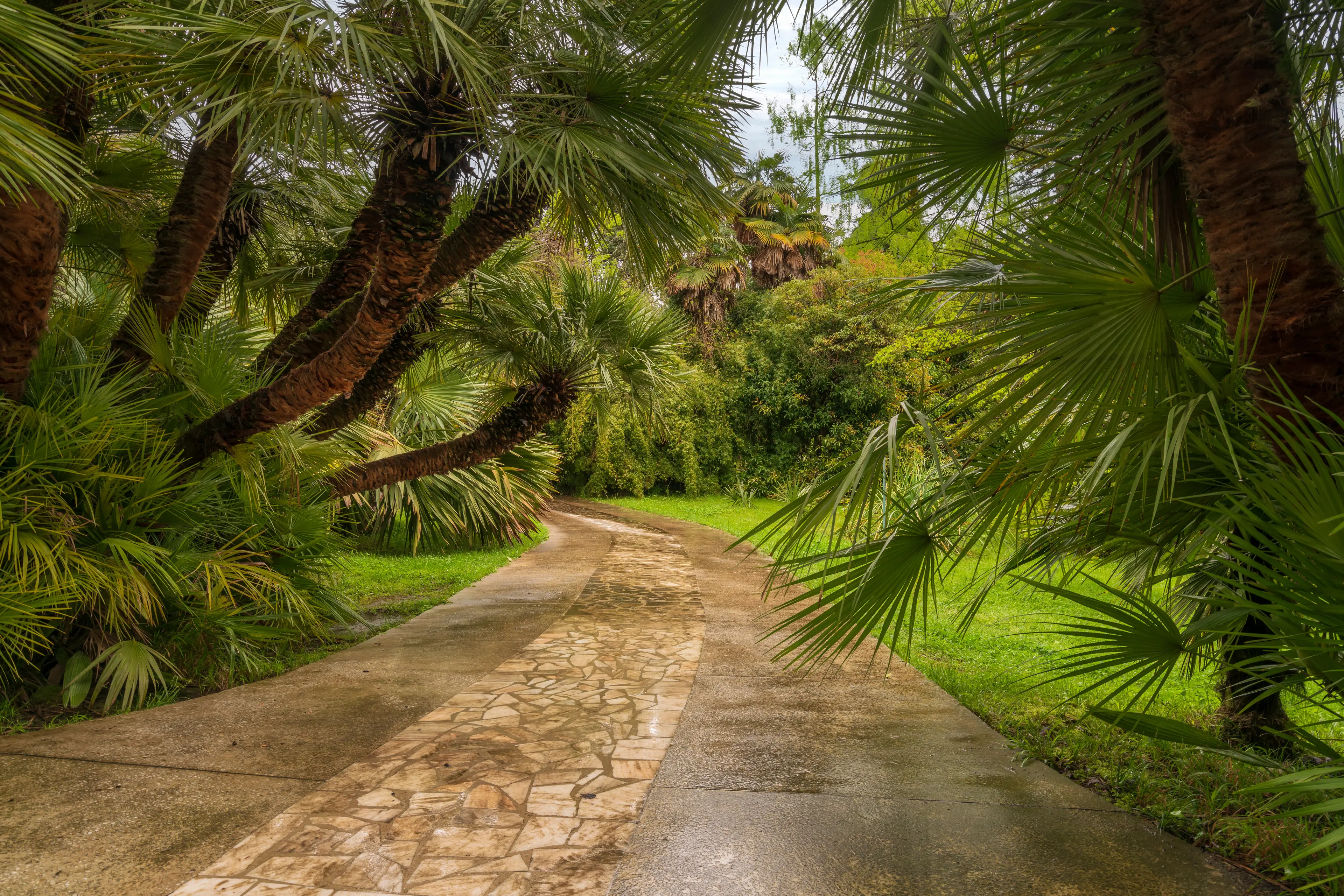 Sochi Arboretum