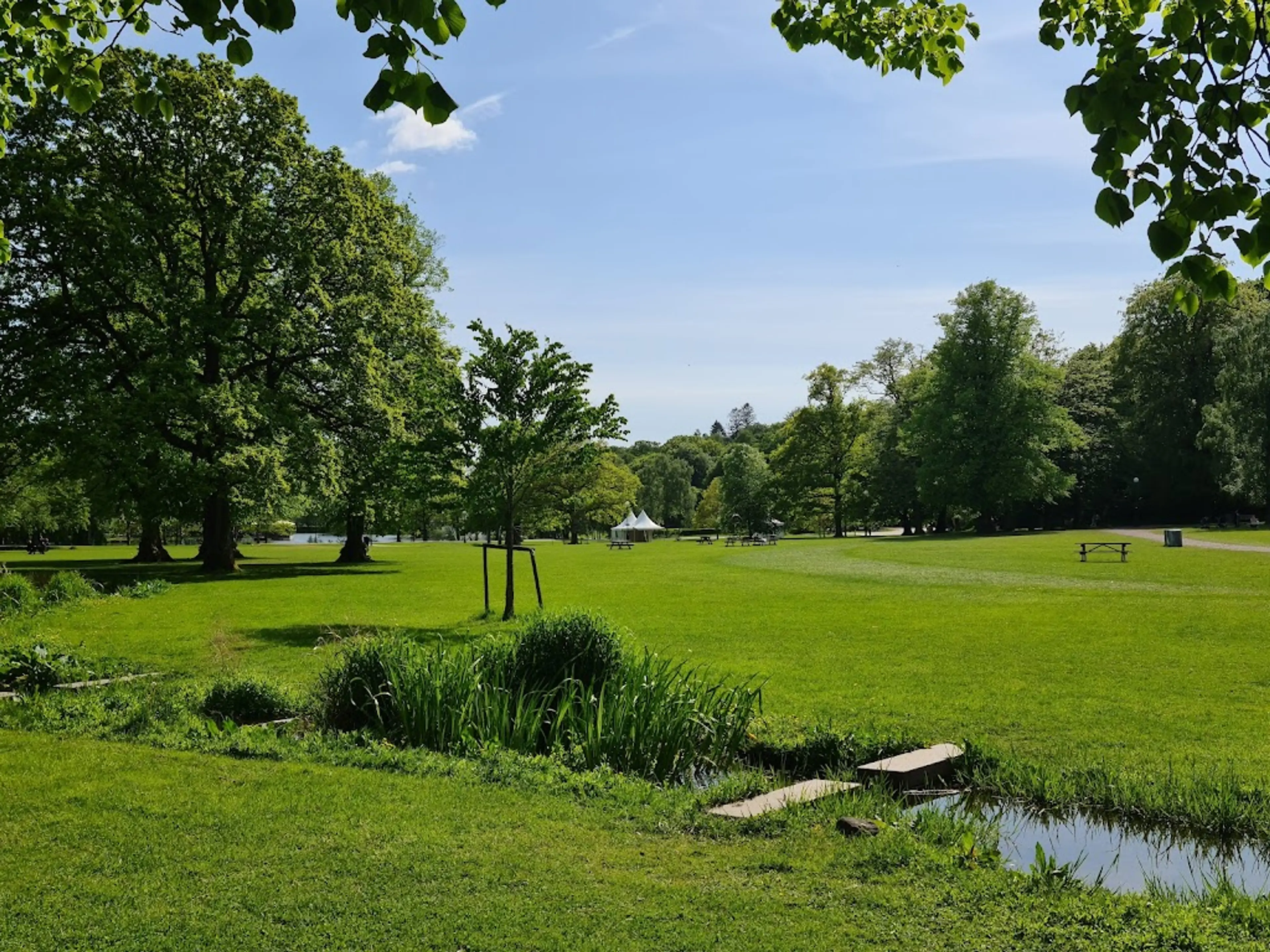 Slottsskogen Park