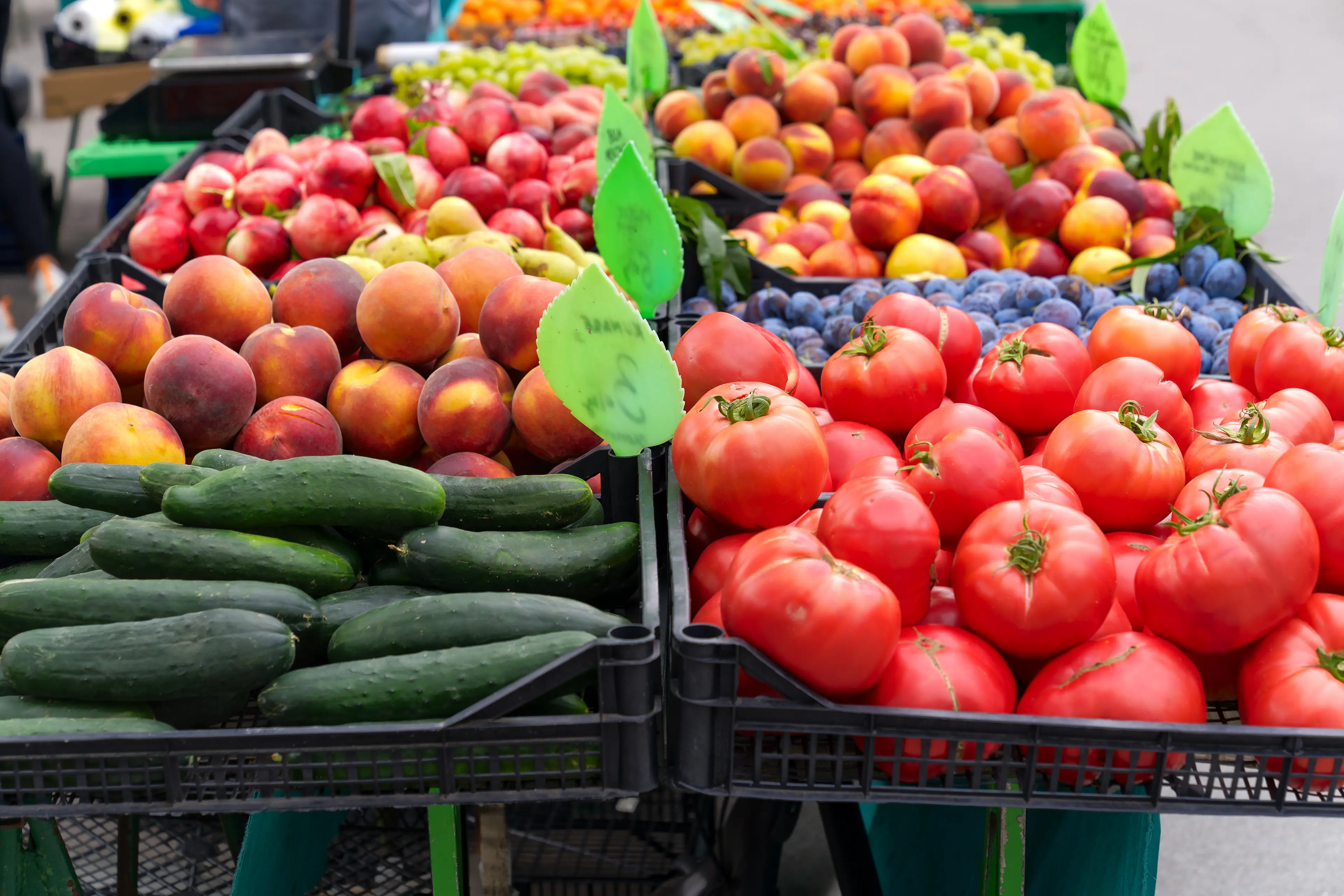 Local farmers market