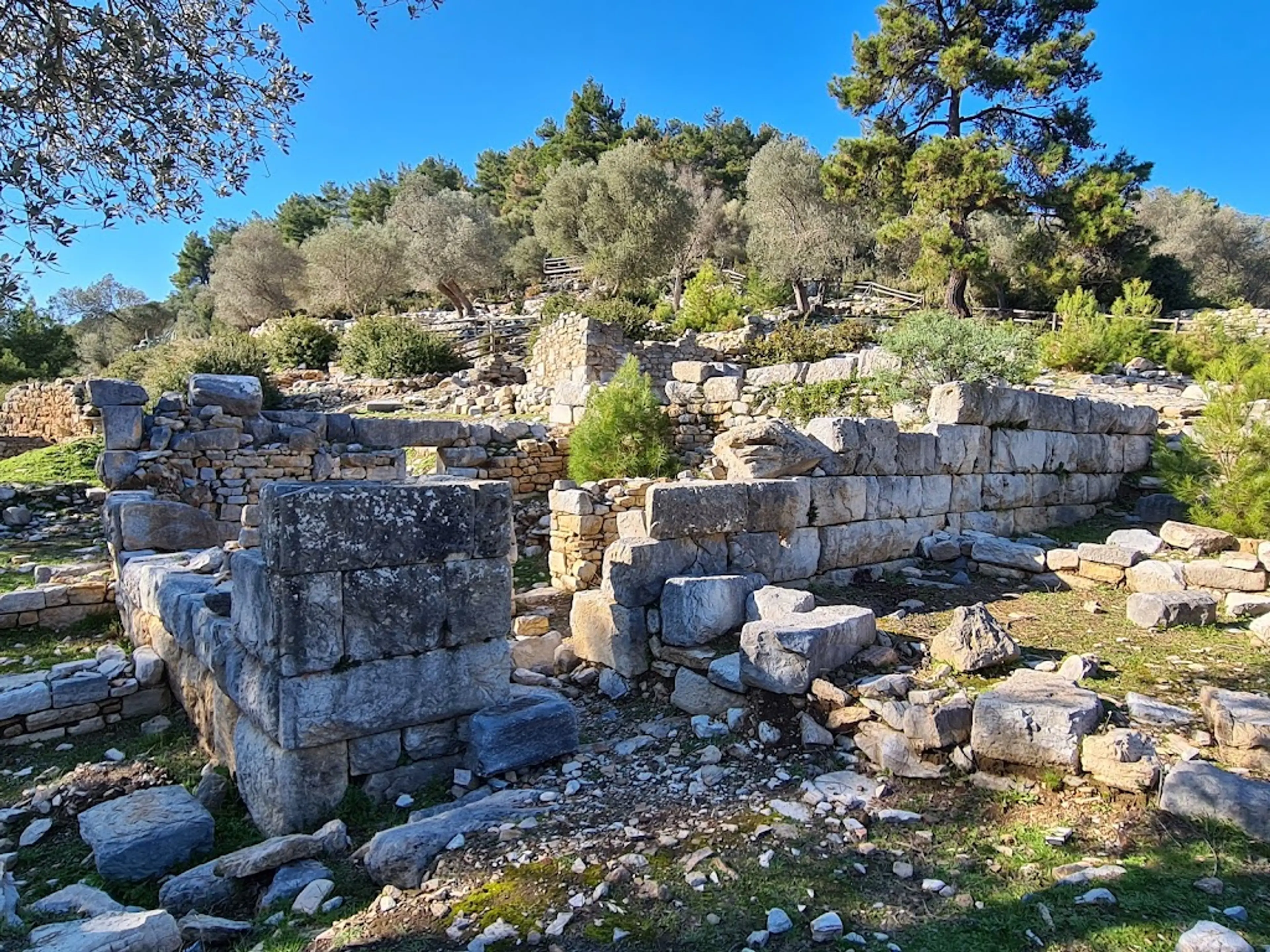 Ancient city of Pedasa