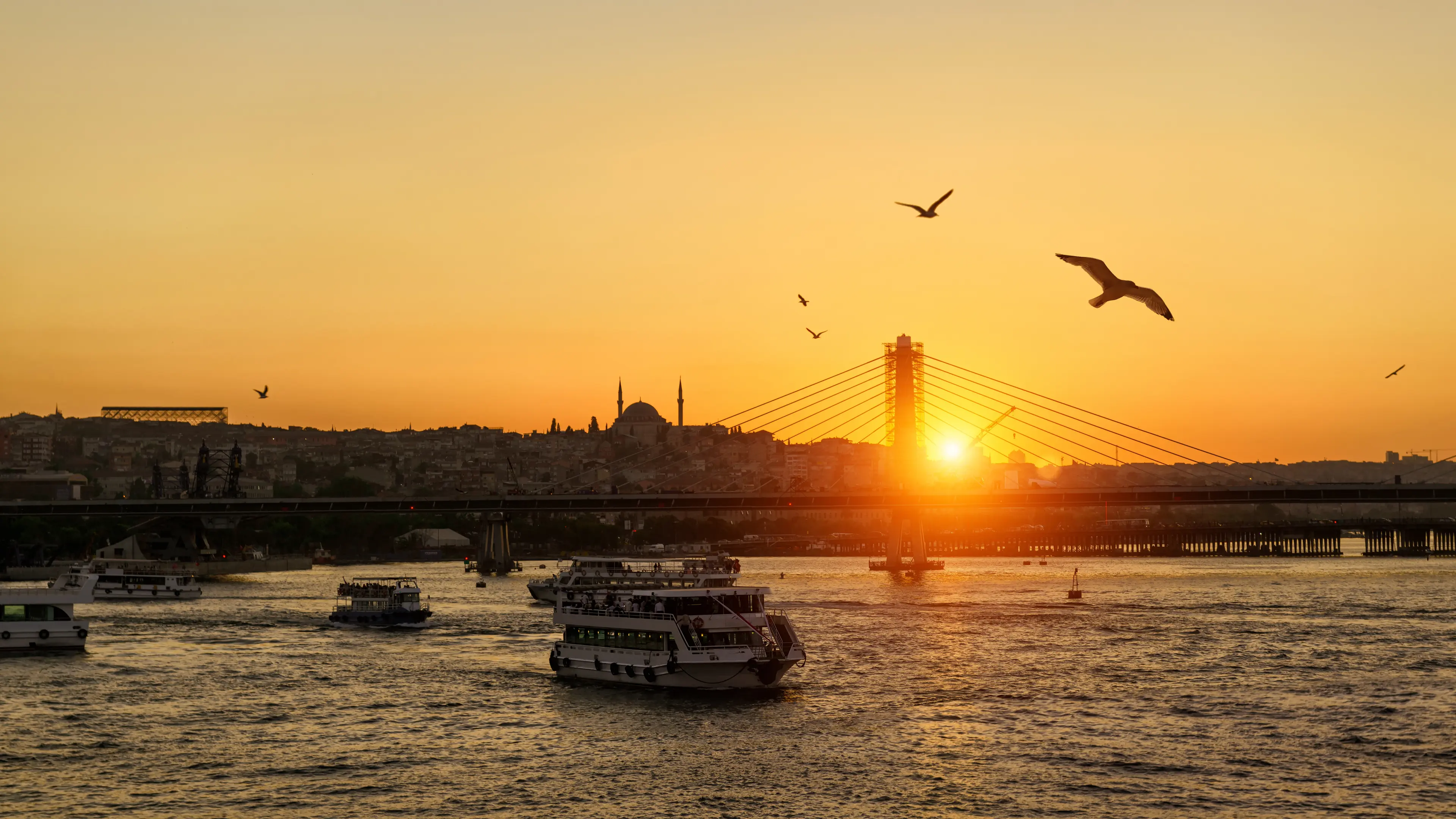 Bosphorus night cruise