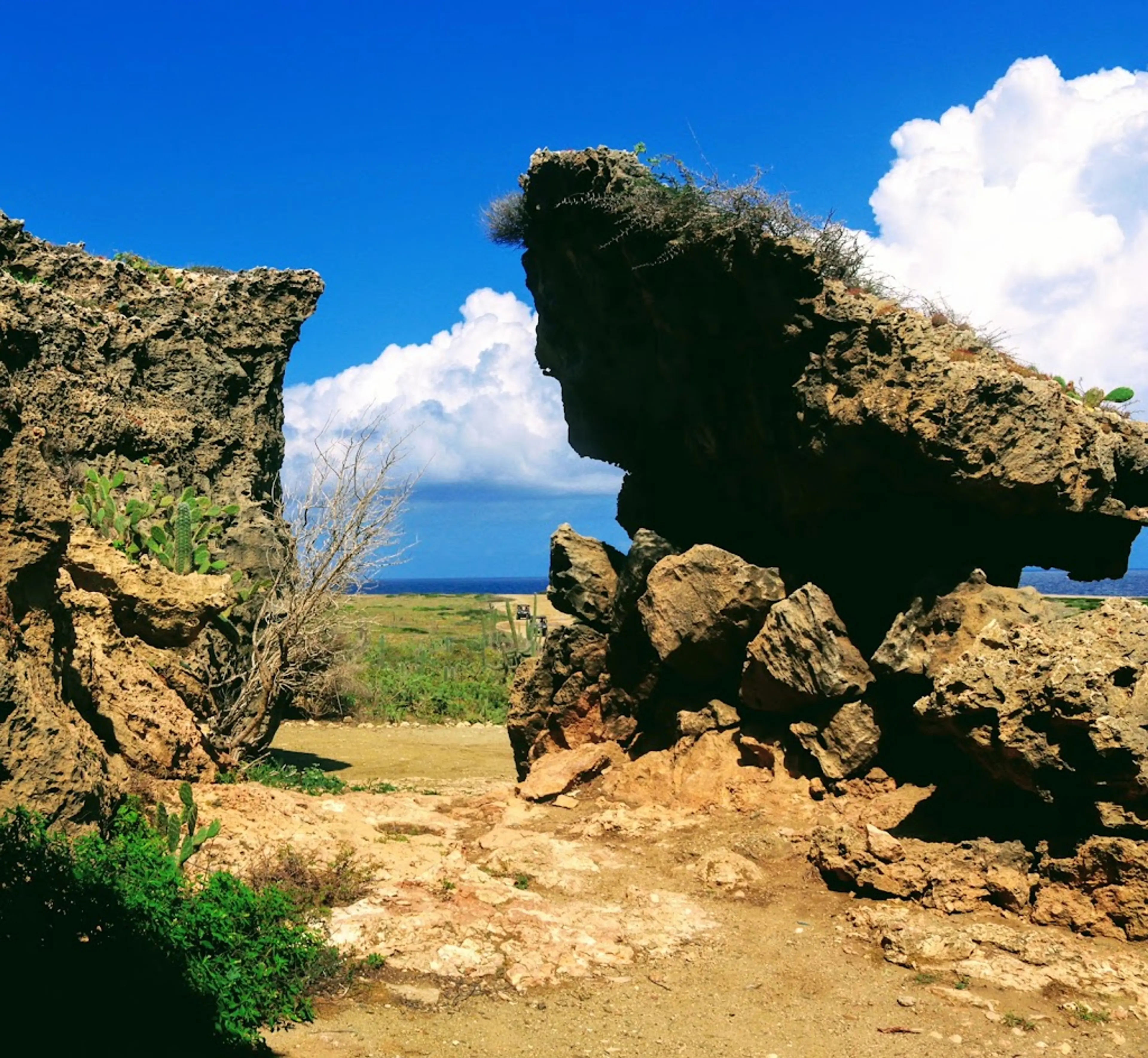 Rock Paintings in Arikok National Park