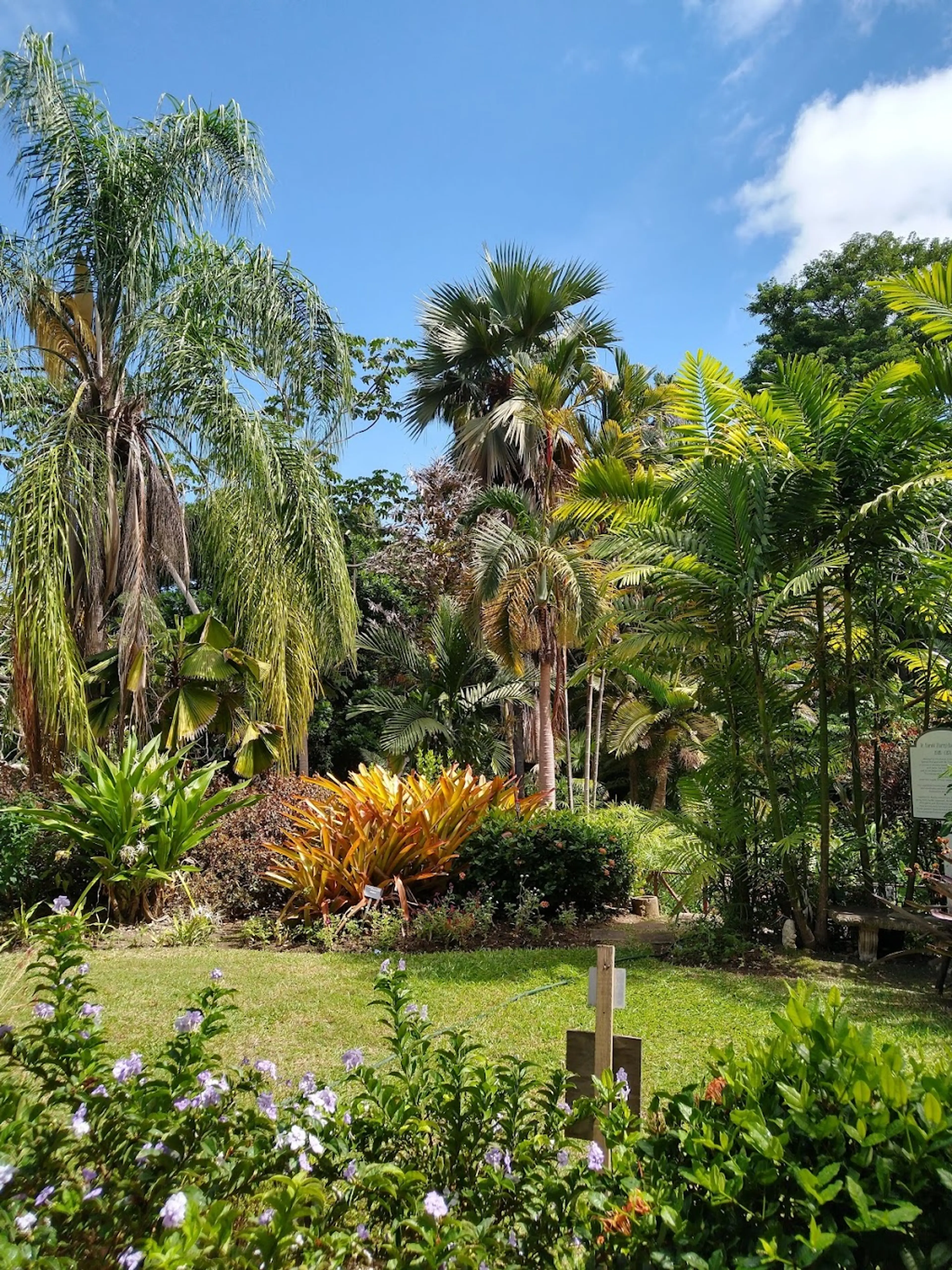 Andromeda Gardens