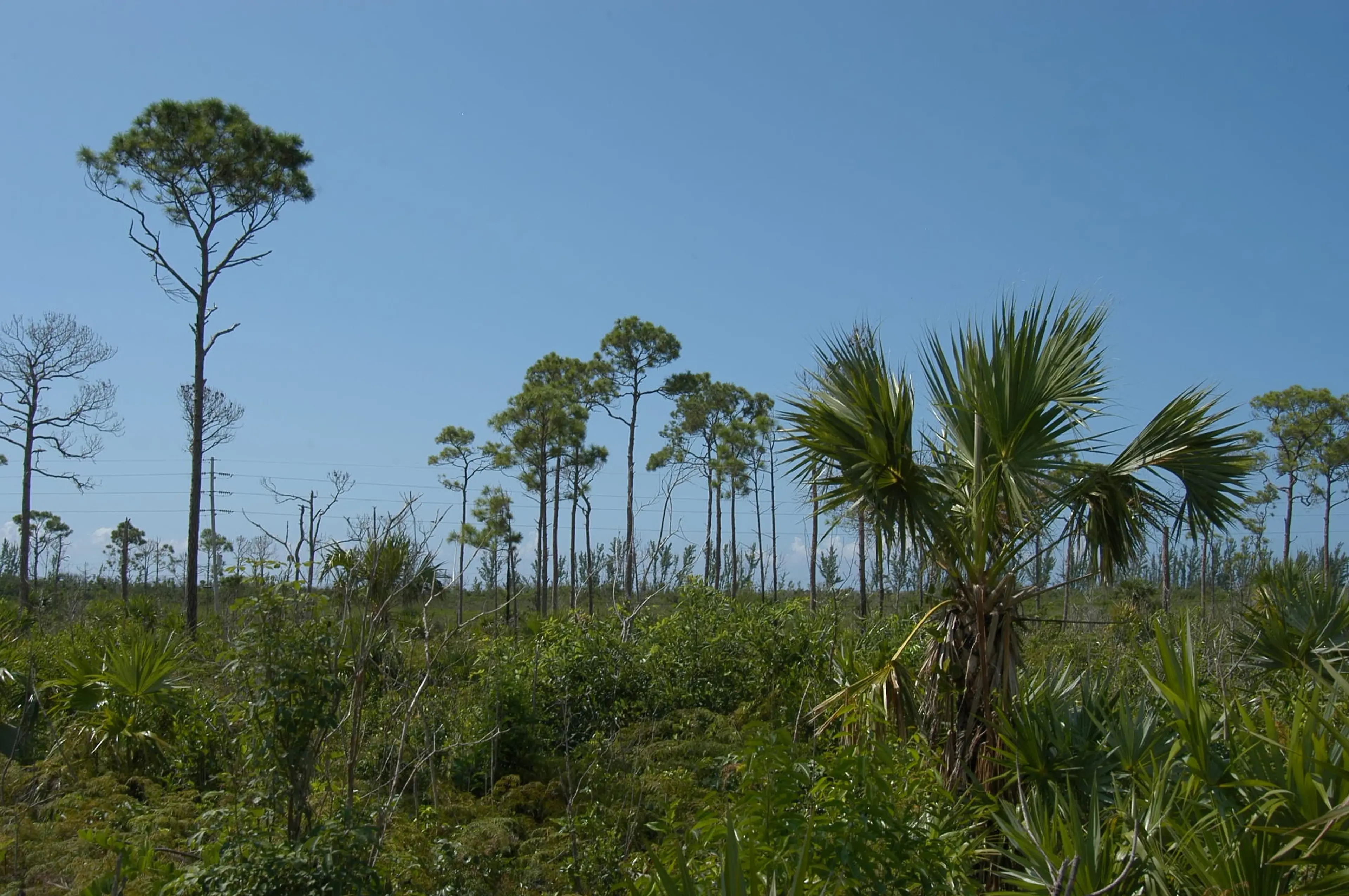 Nature Reserve