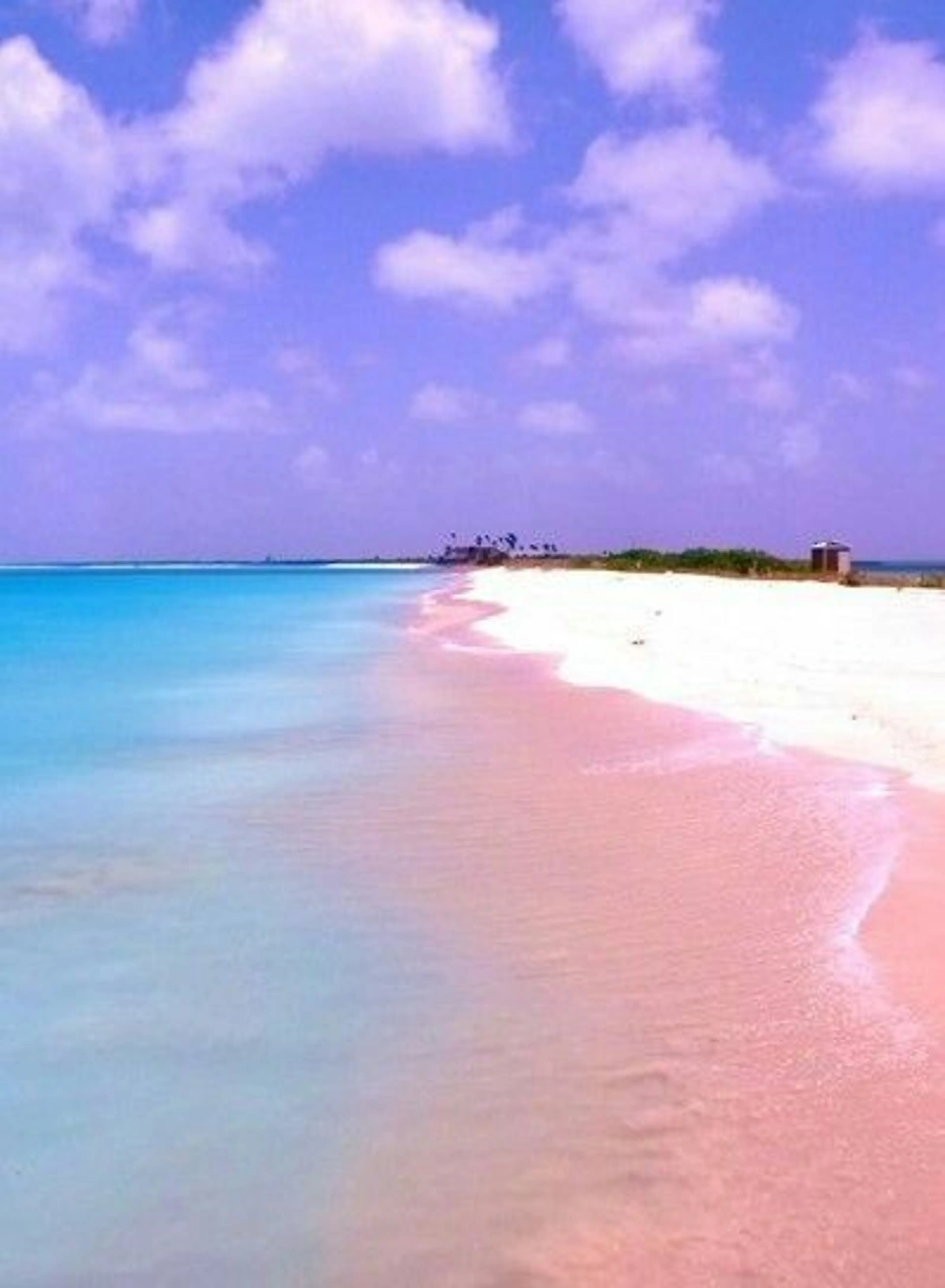 Pink sand beaches