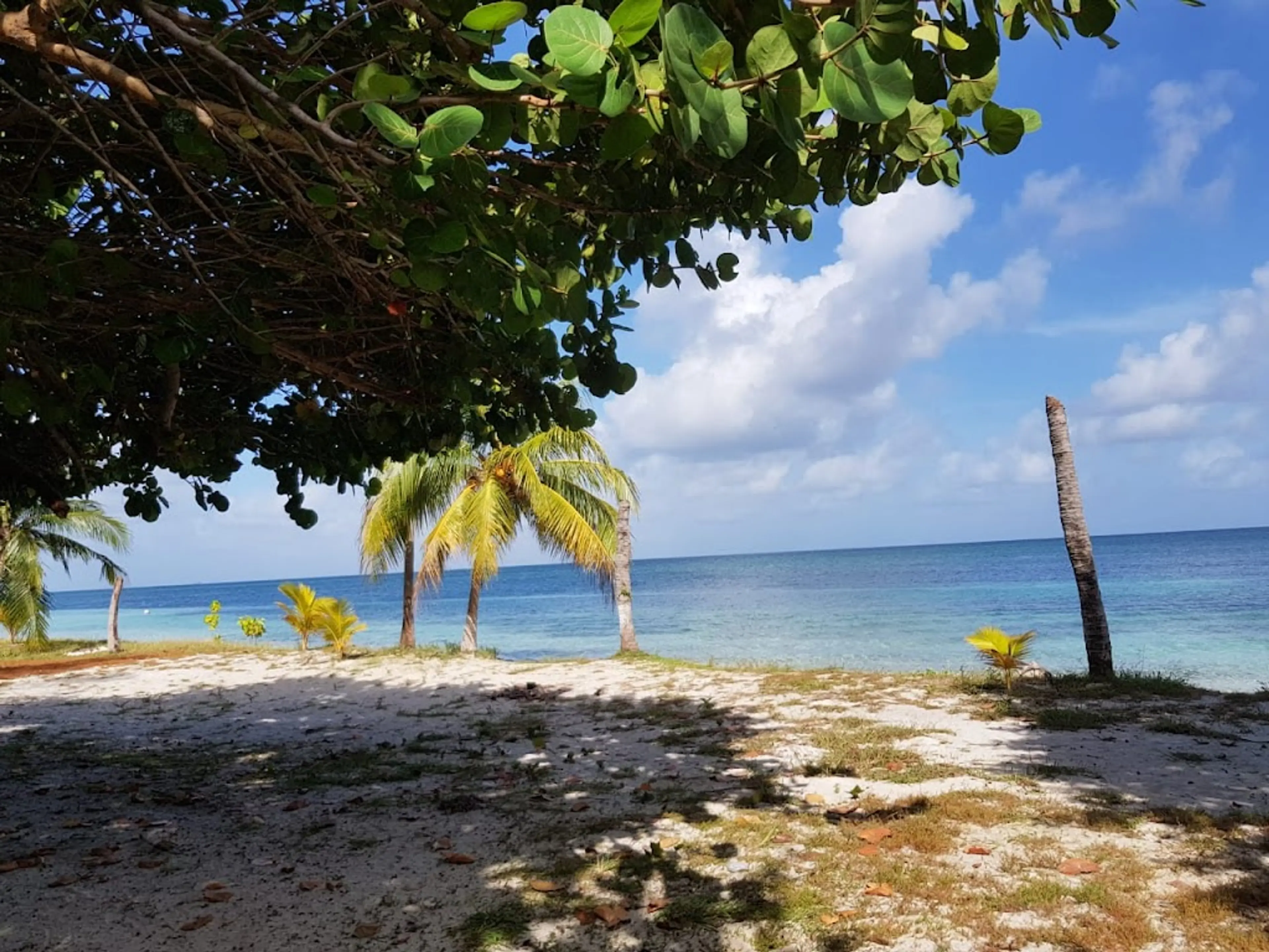 Belize Barrier Reef