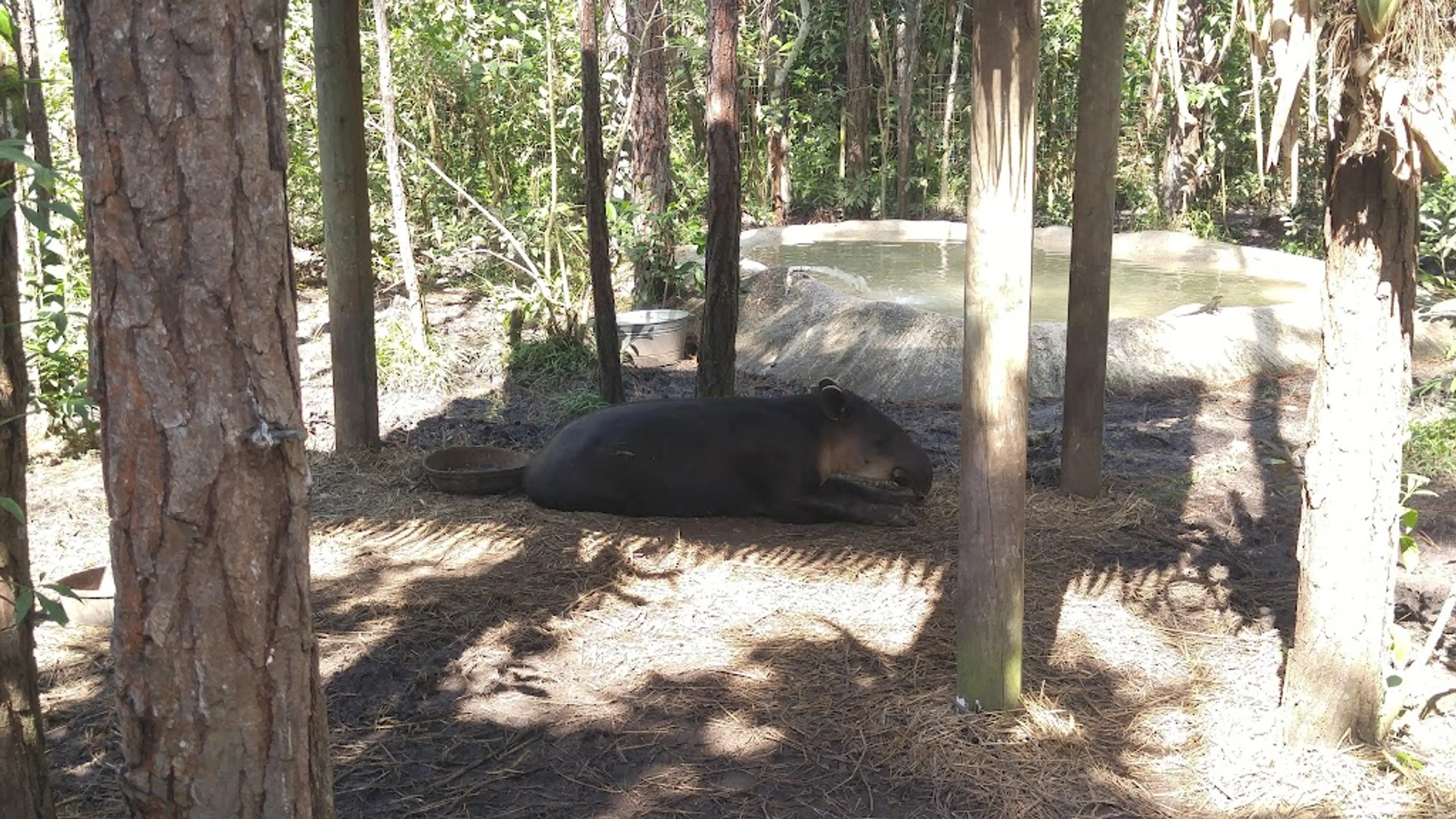 Belize Zoo and Tropical Education Center