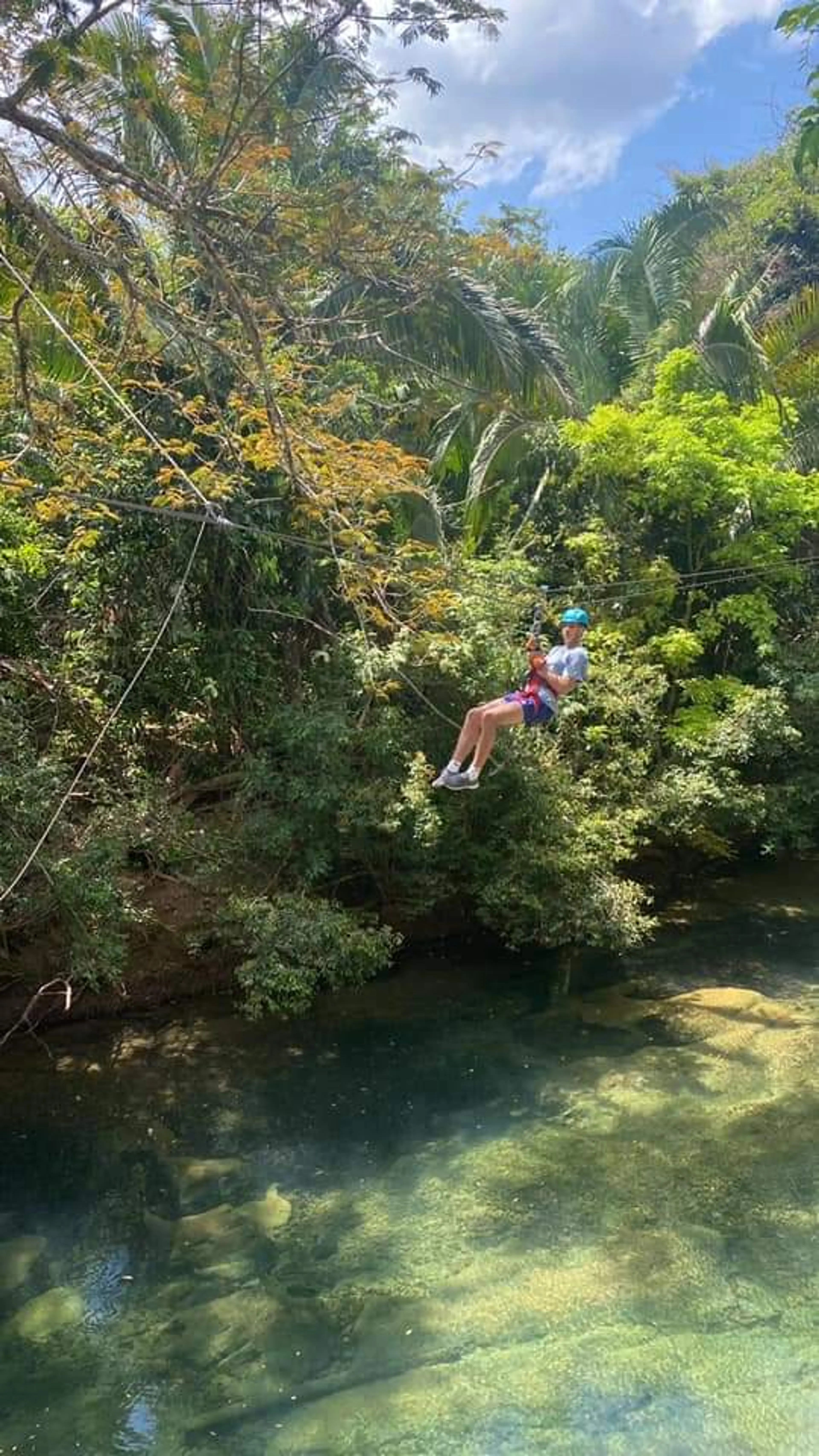 Jungle Exploration
