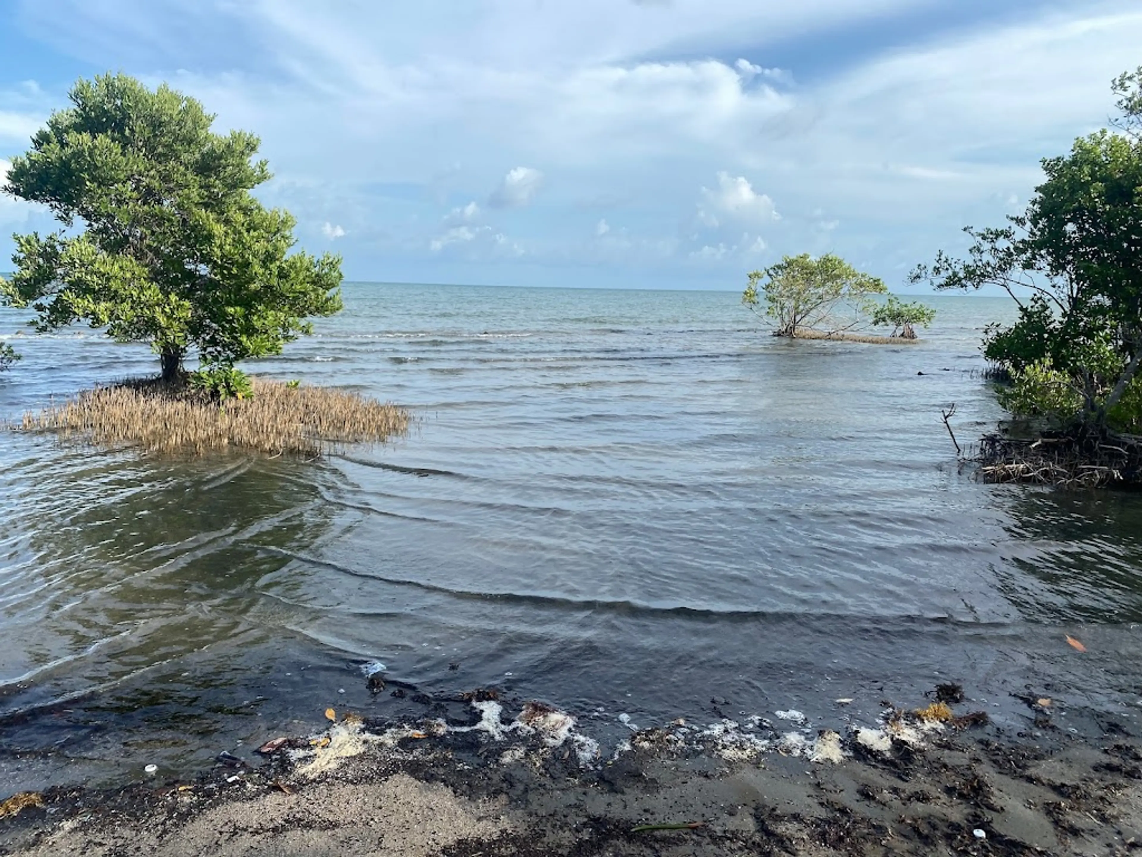 Local Beach