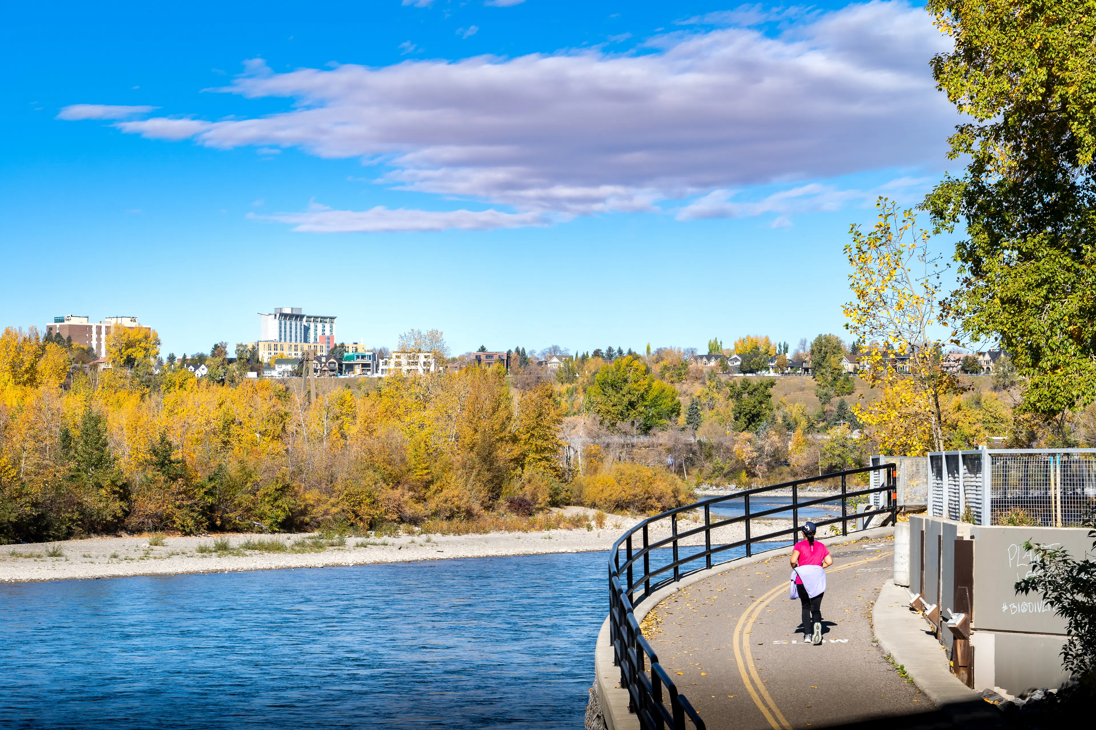 Bow River Trail