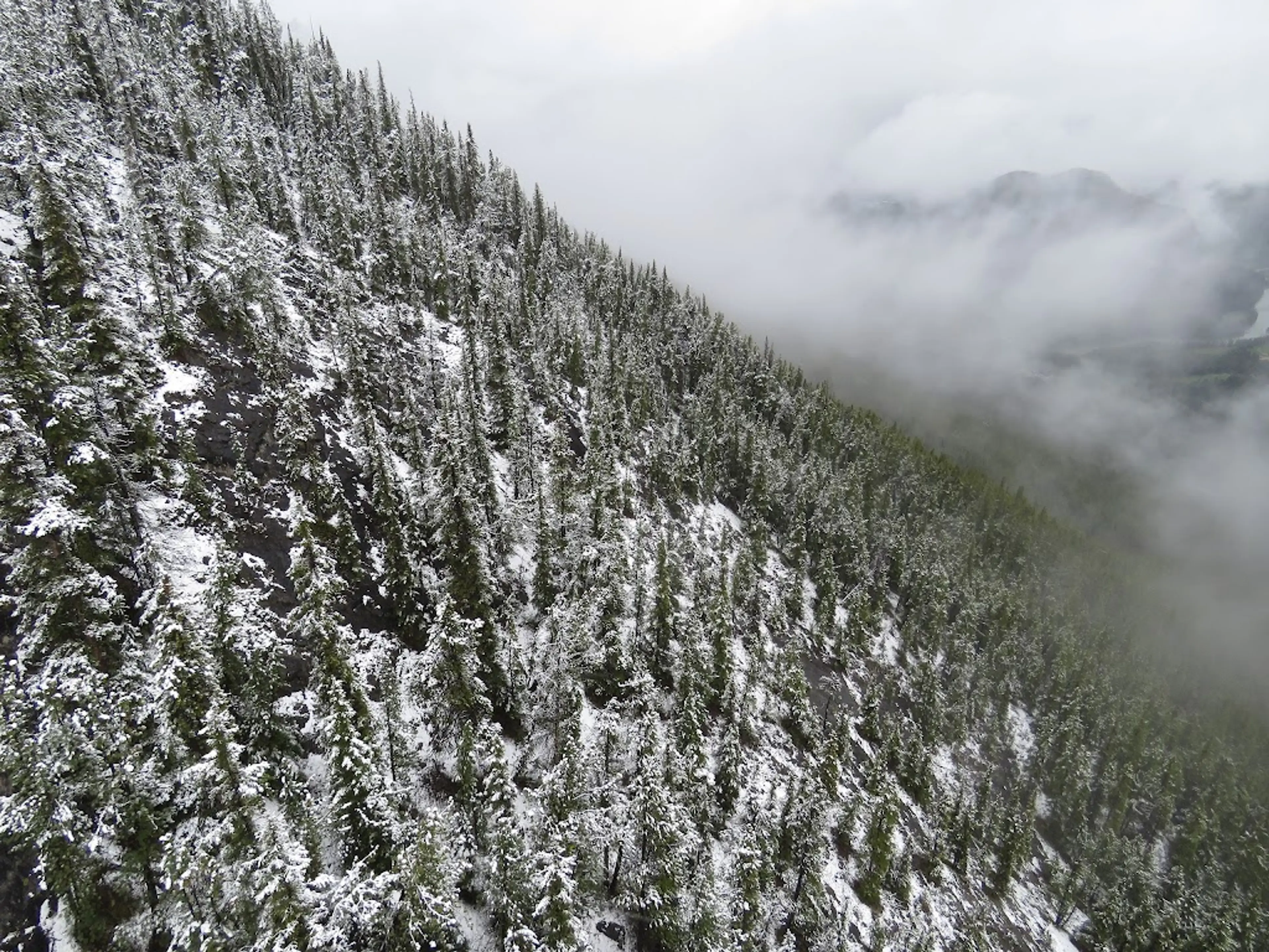 Sulphur Mountain Trail