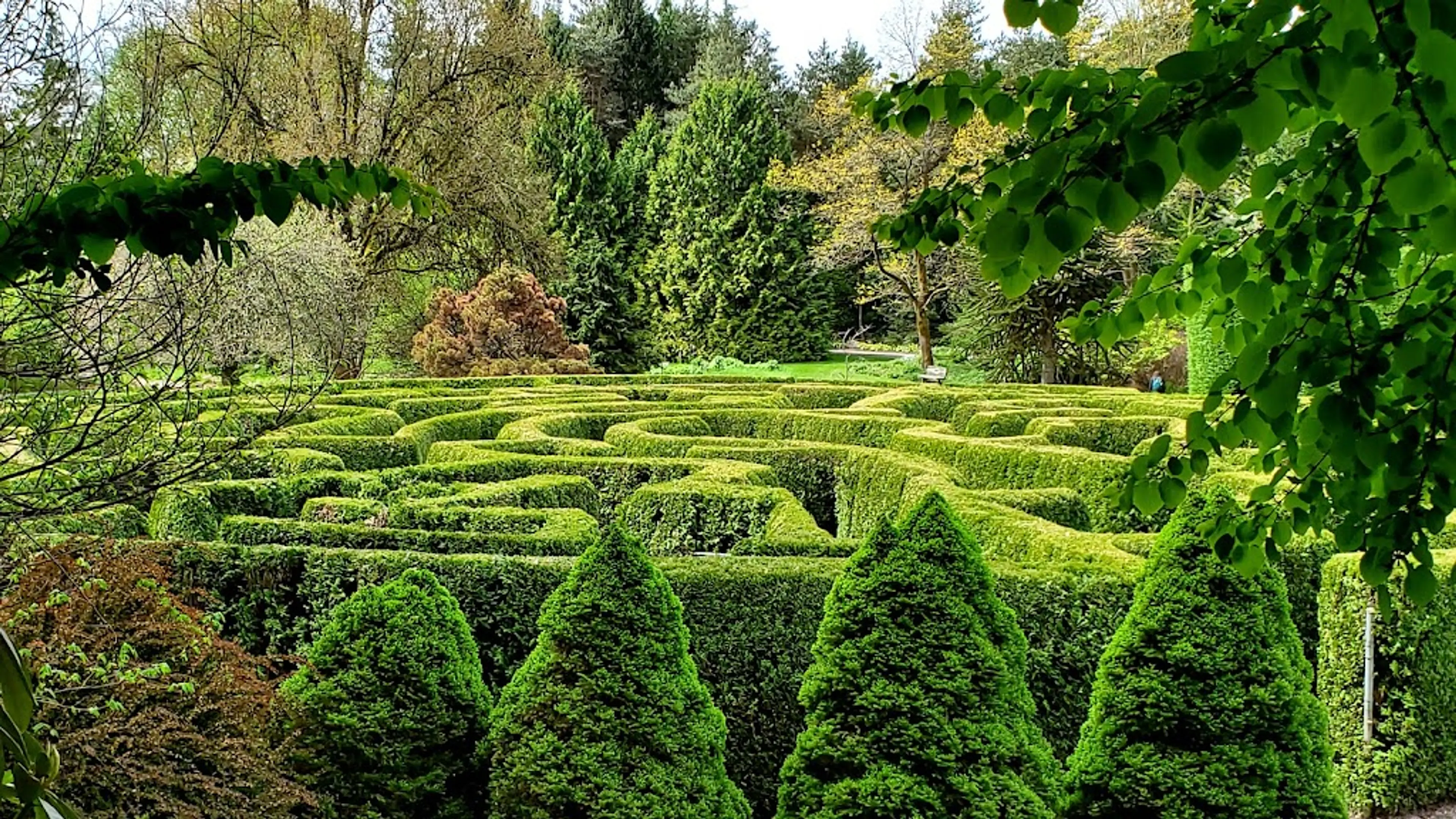 Elizabethan Maze