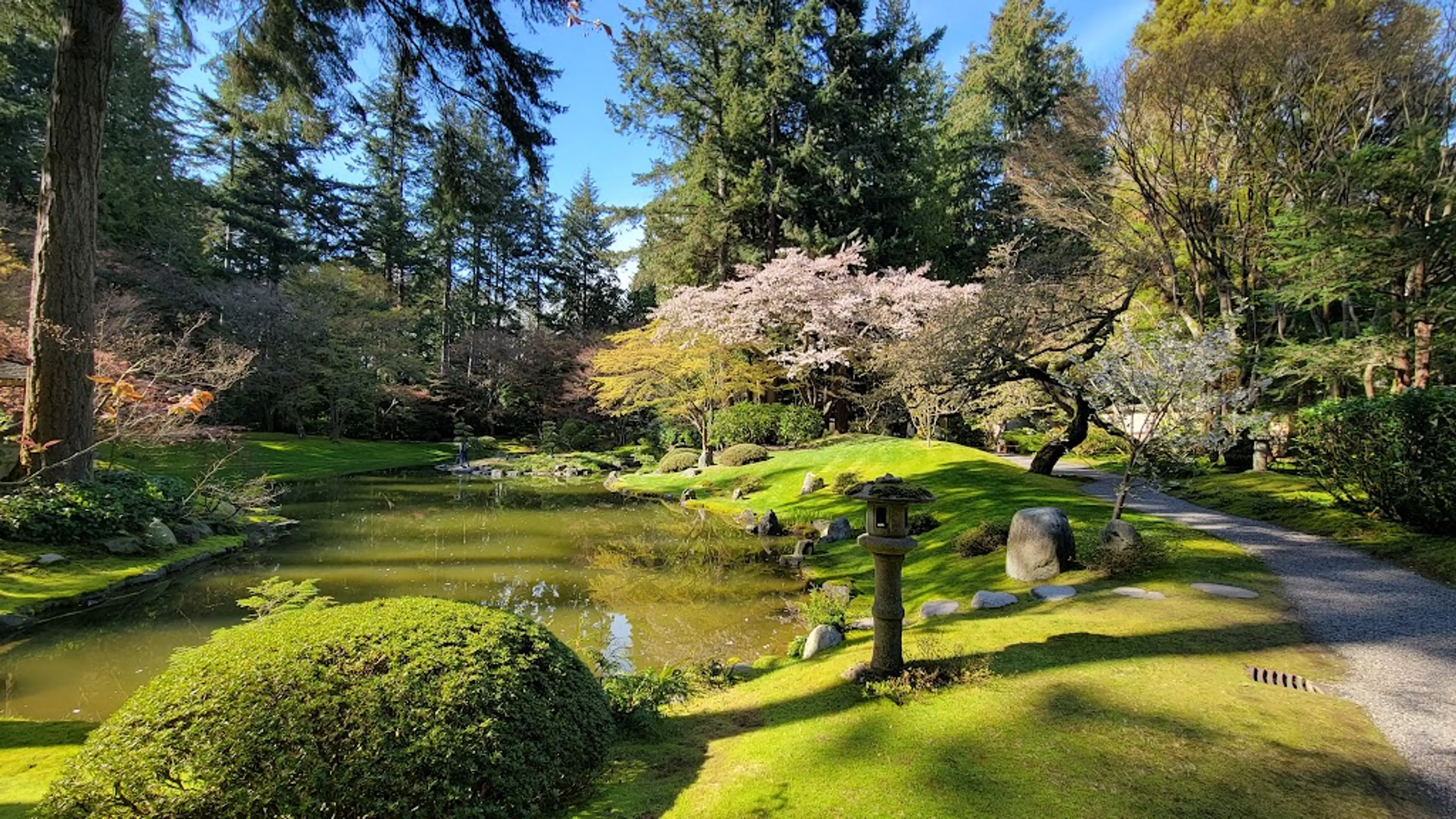 Japanese Garden