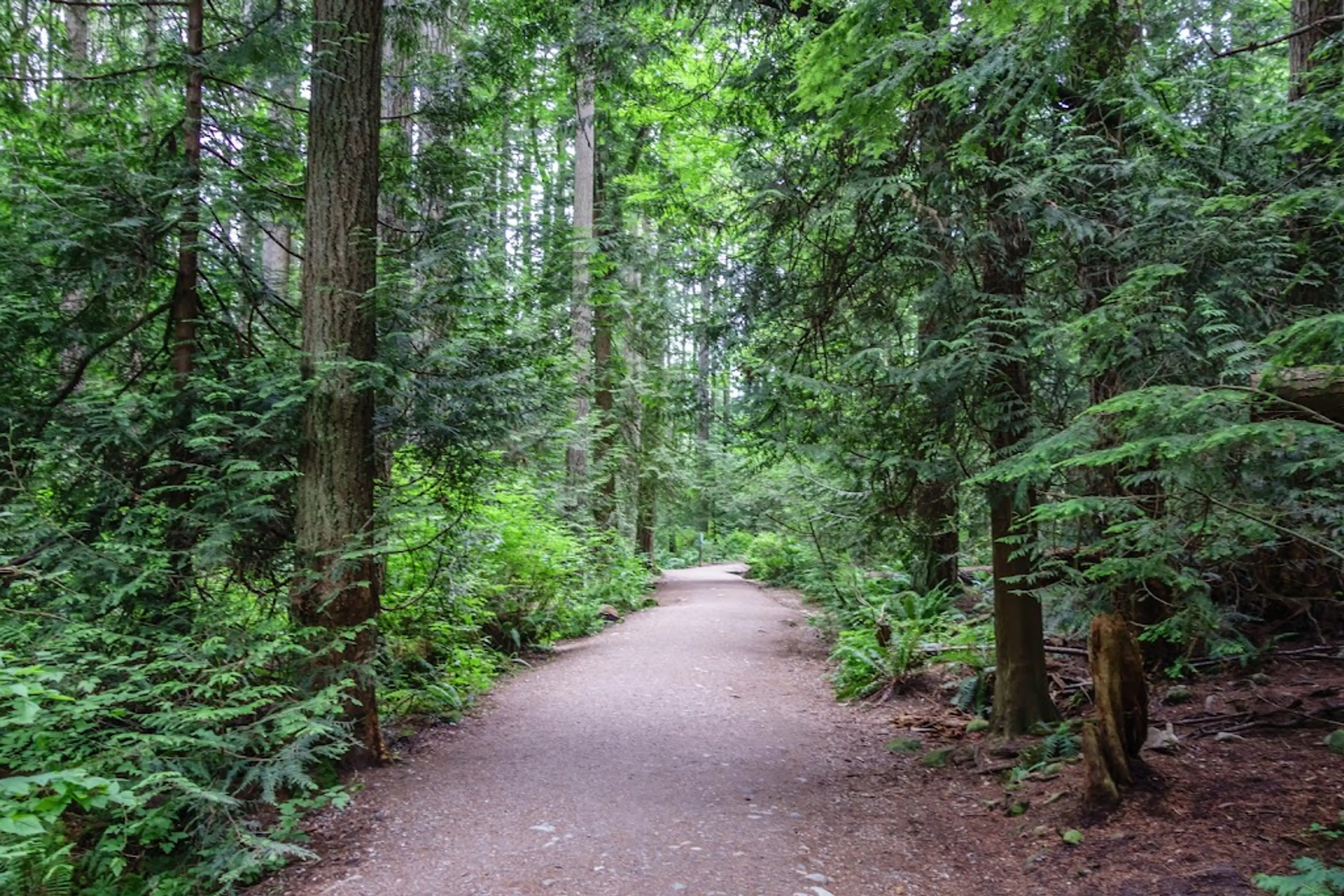 Pacific Spirit Regional Park