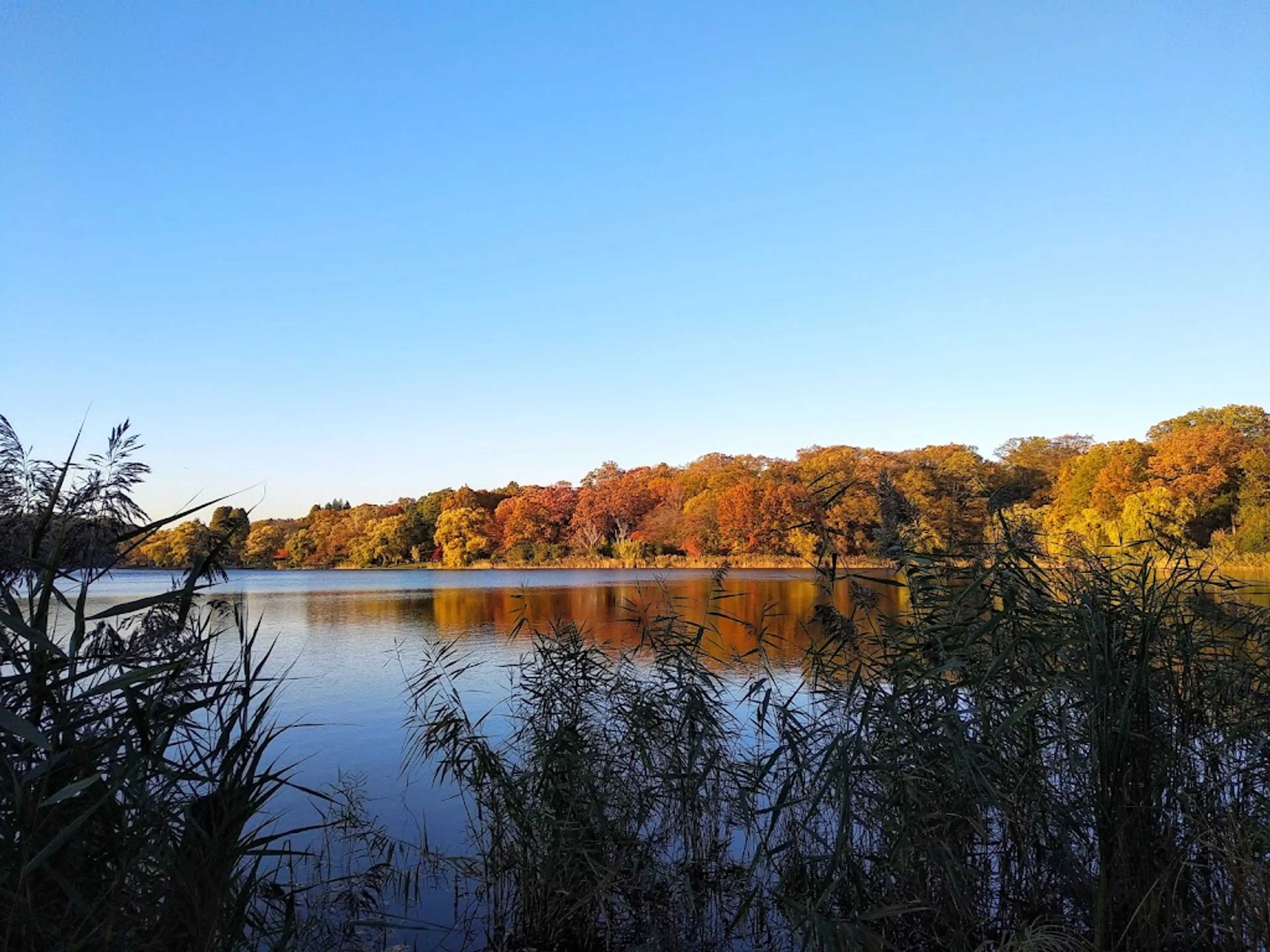 Grenadier Pond