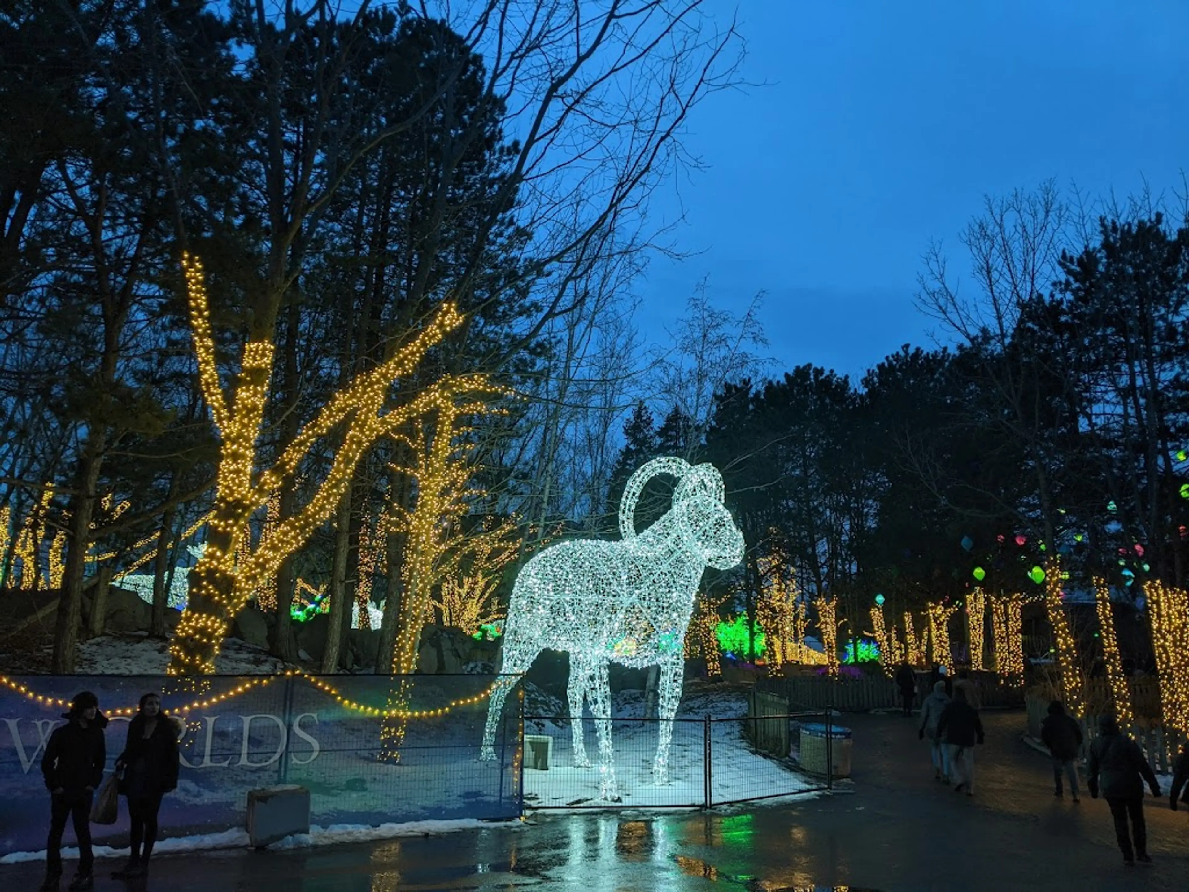 Ontario Place Winter Light Exhibition