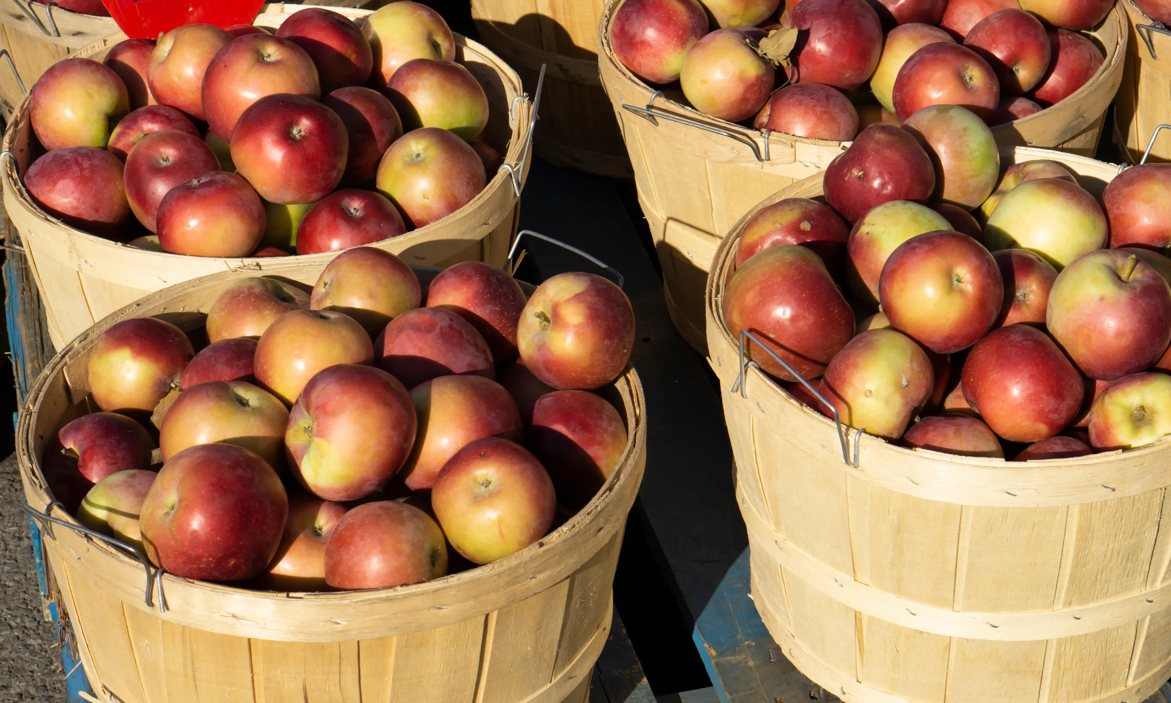 Local farmer's market
