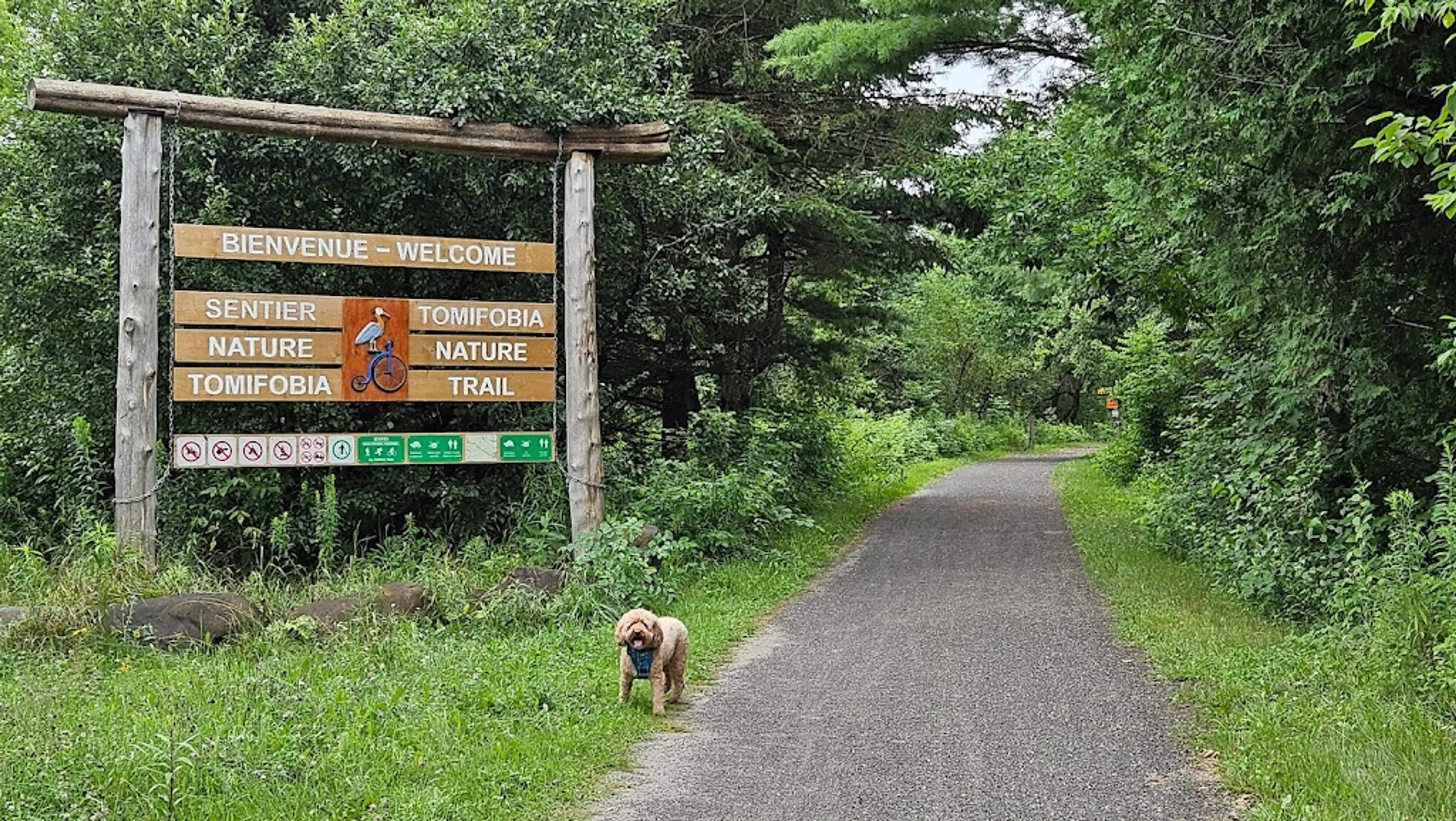 Hiking Trails
