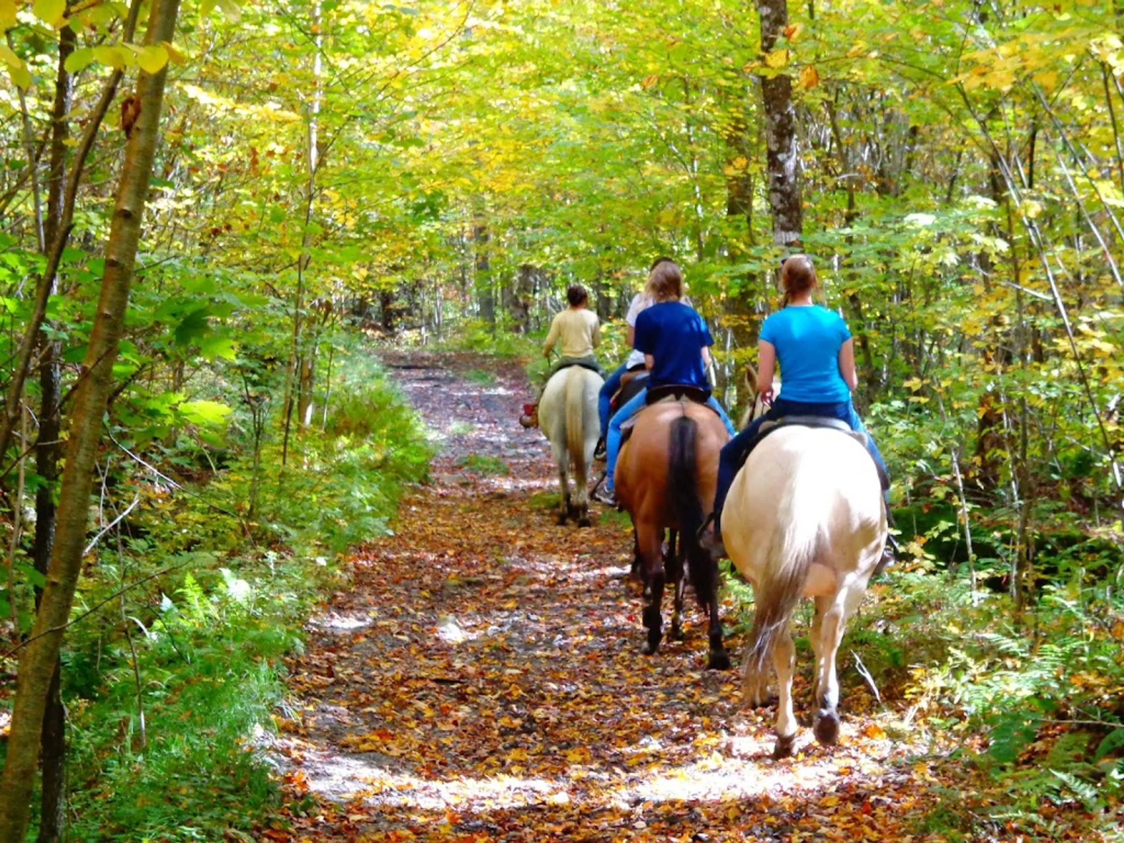 Horseback riding tour