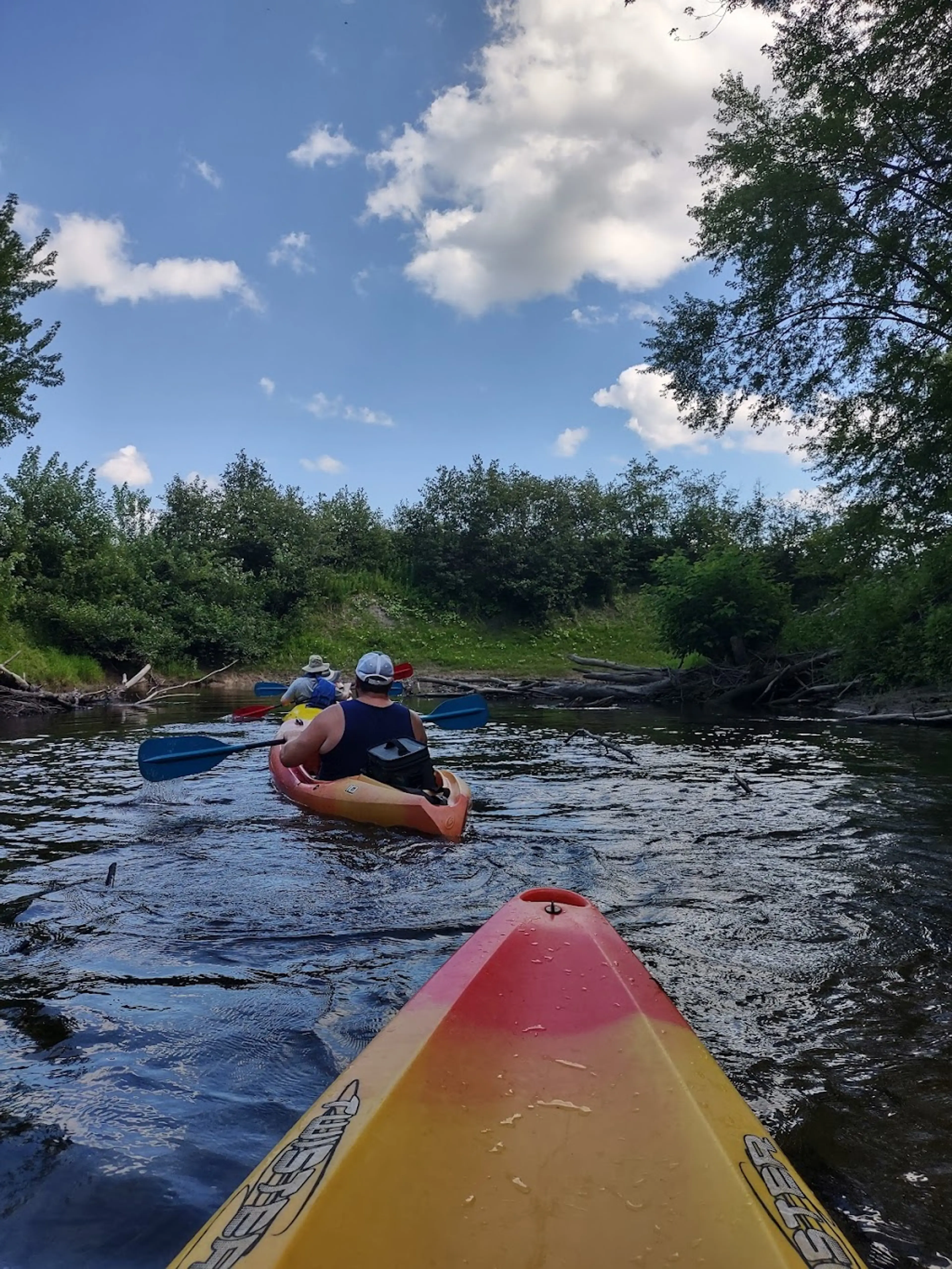 Kayak Trip