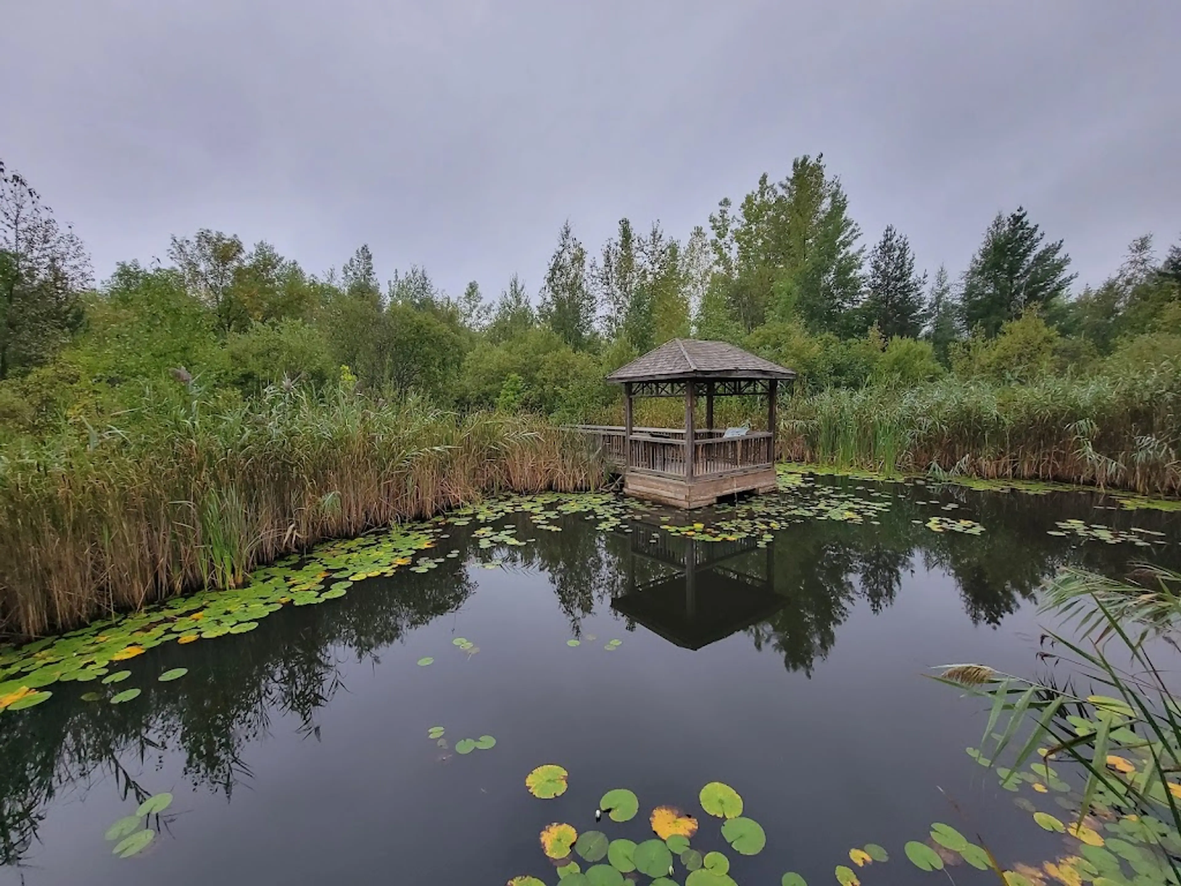 Marais Réal-D.-Carbonneau