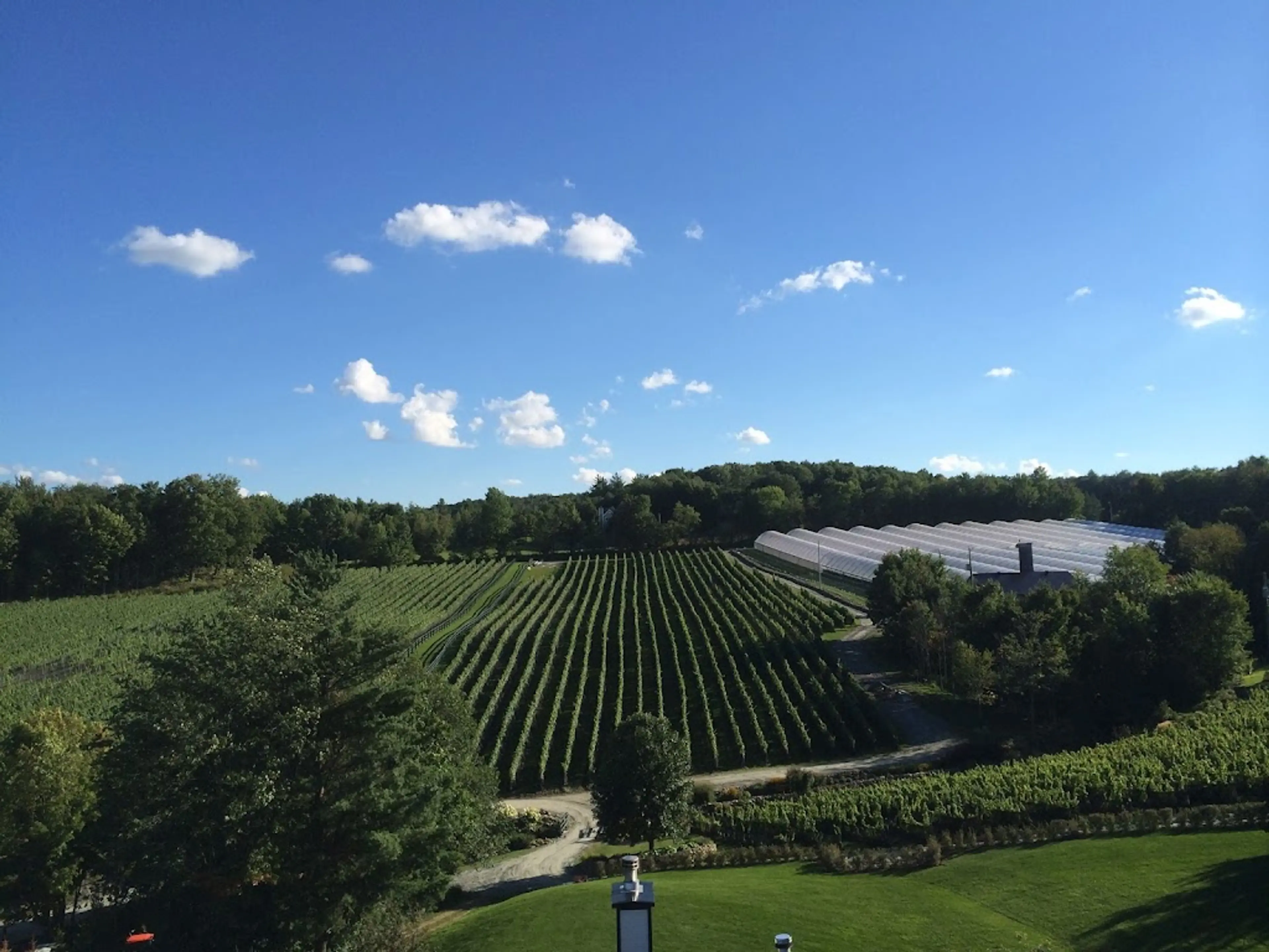 Wine Route
