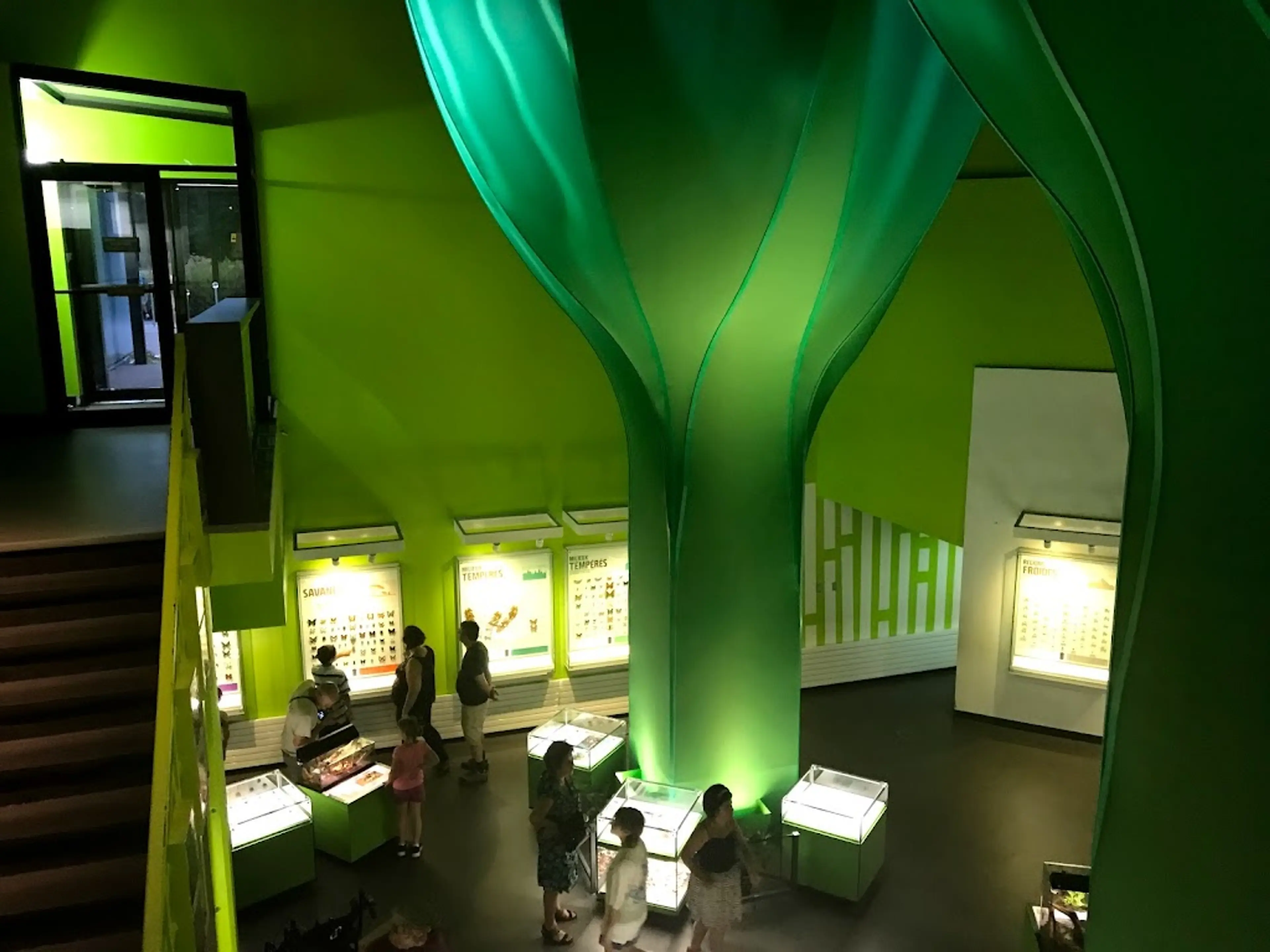 Montreal Insectarium