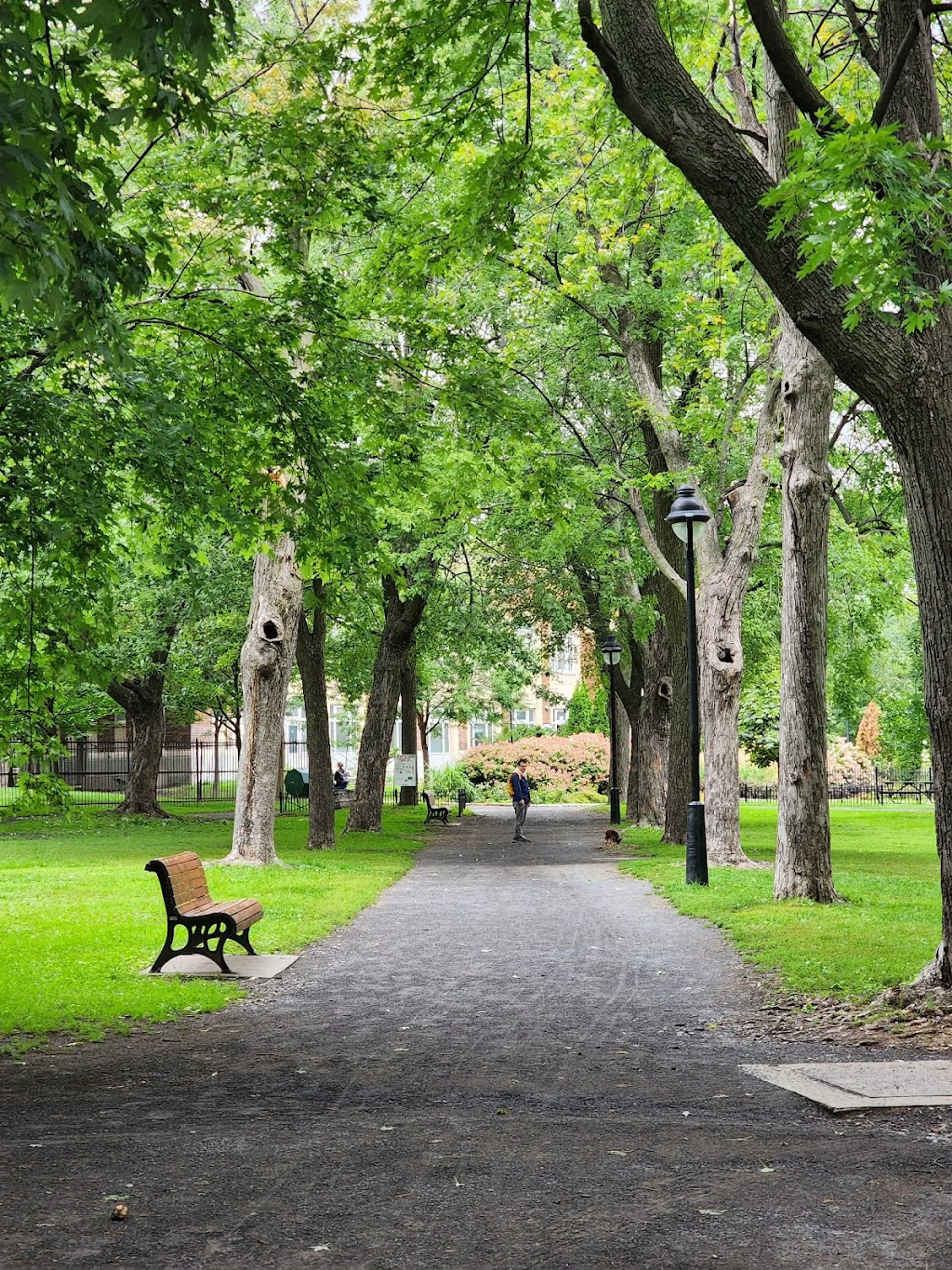 Park in Plateau Mont-Royal