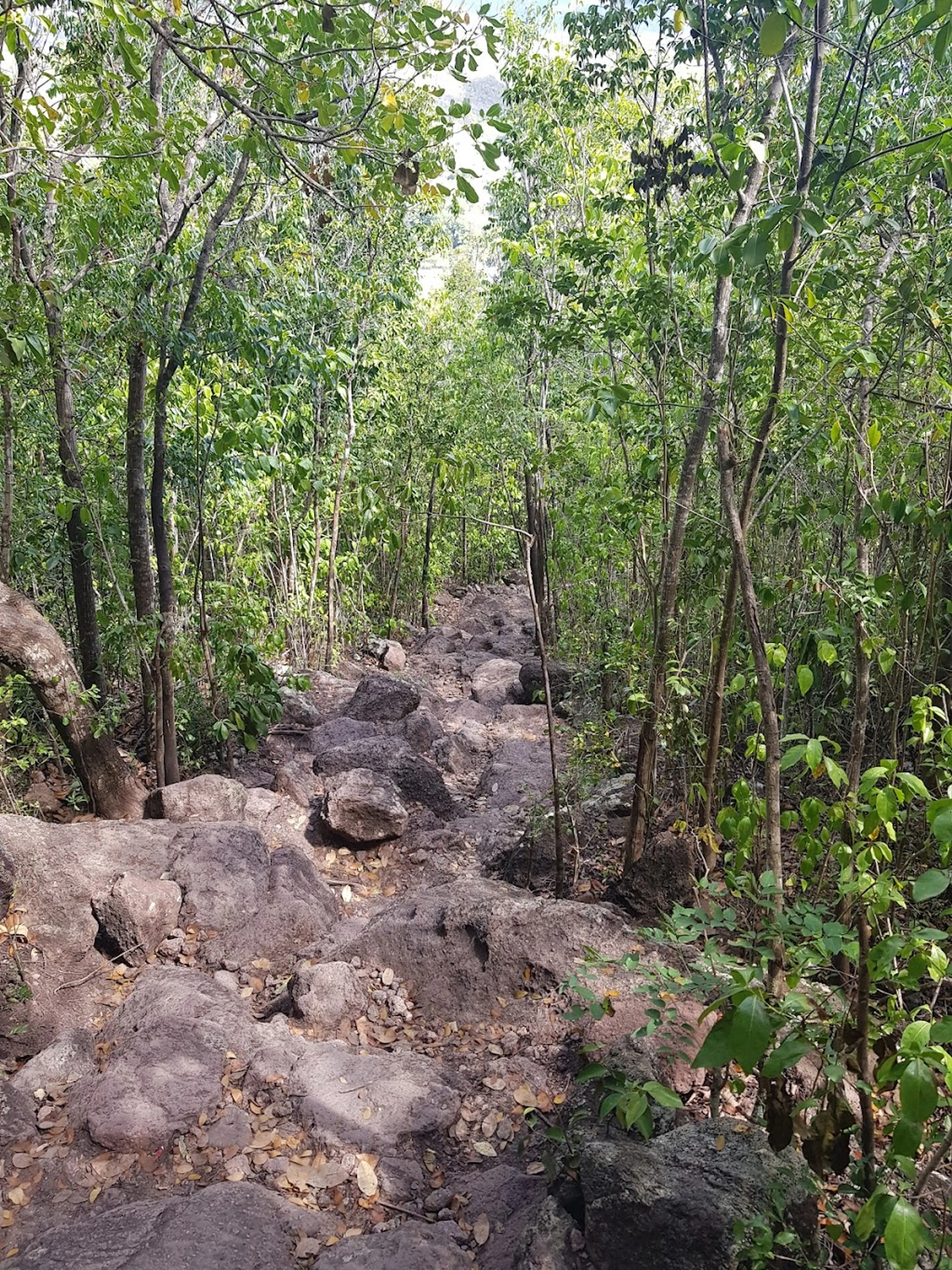 Mountain Peak