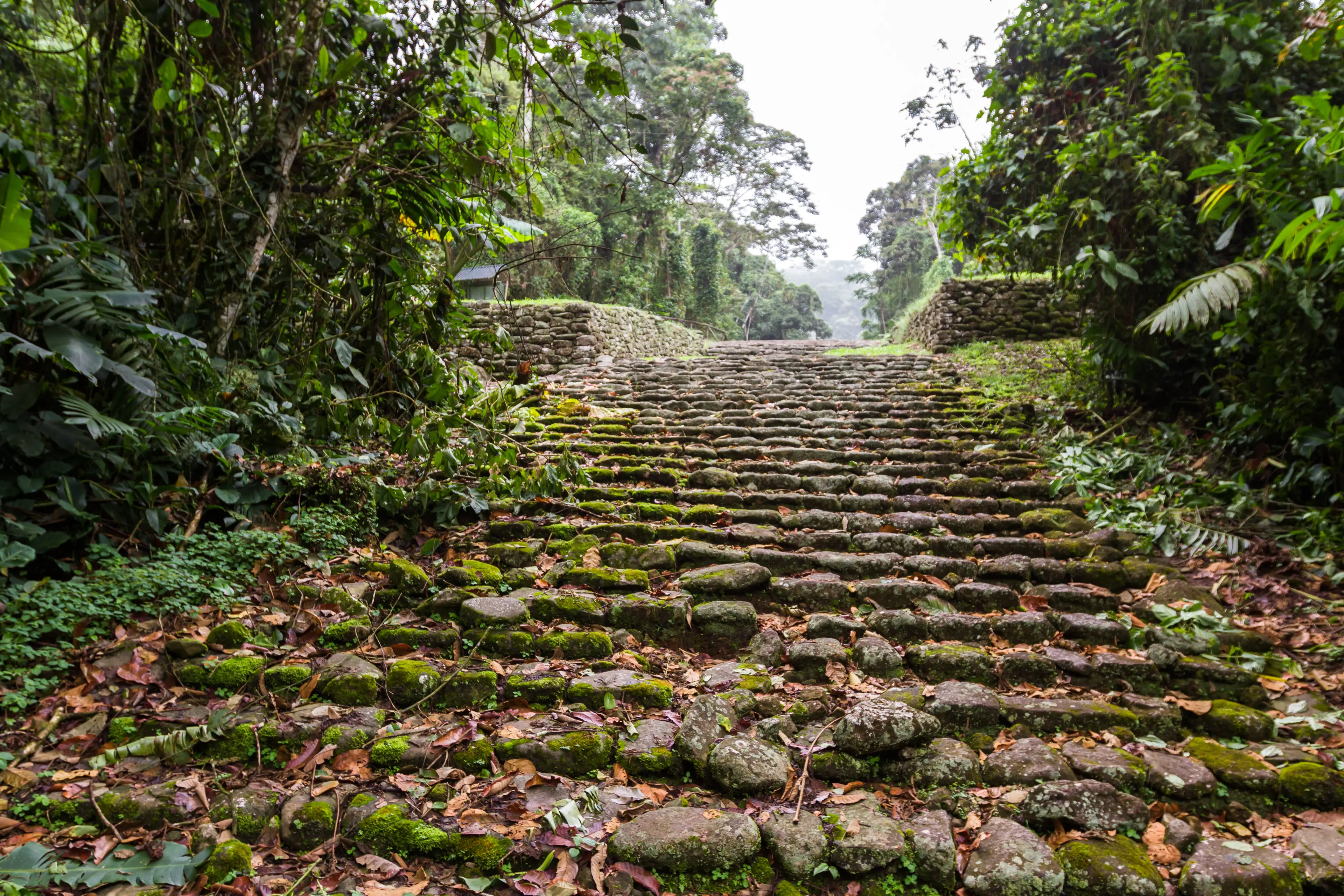 Guayabo National Monument