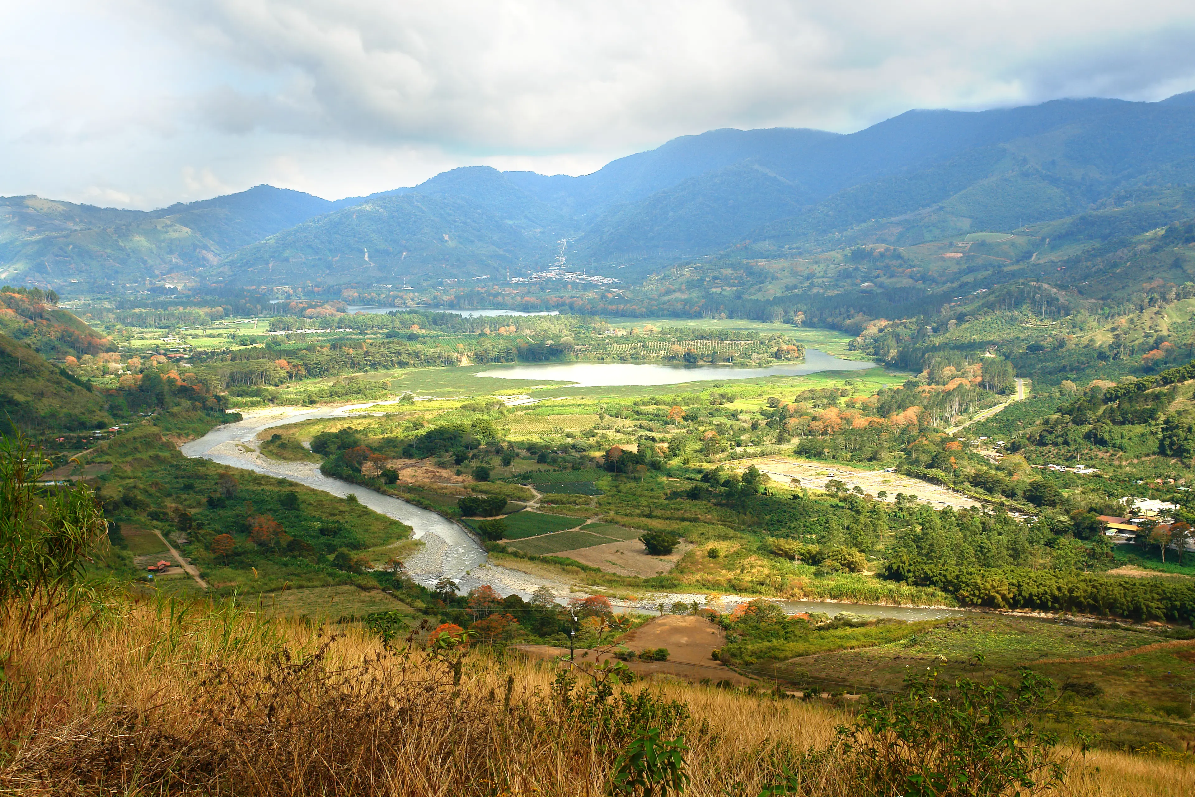 Orosi River Valley