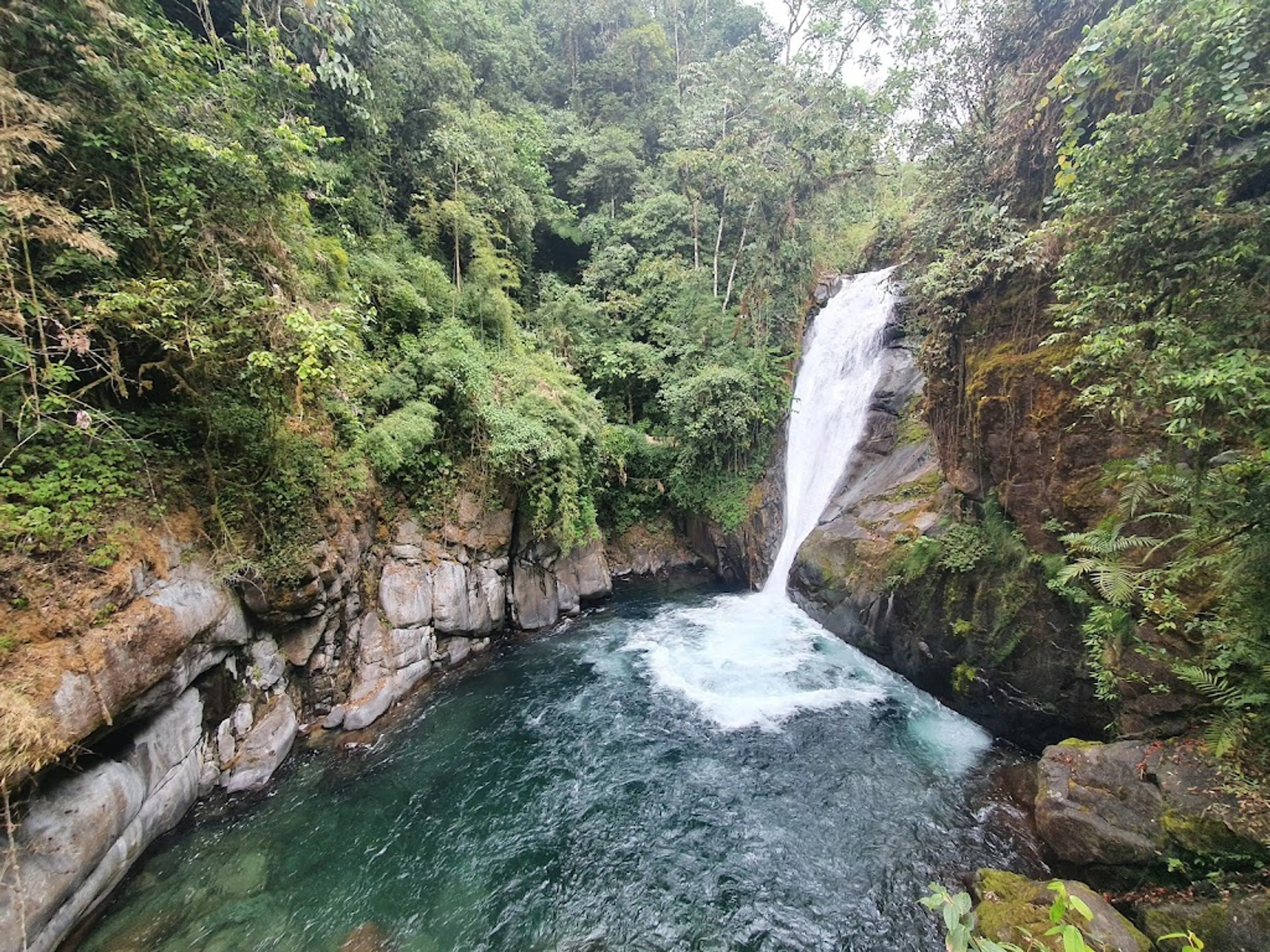 Cloud forest reserve