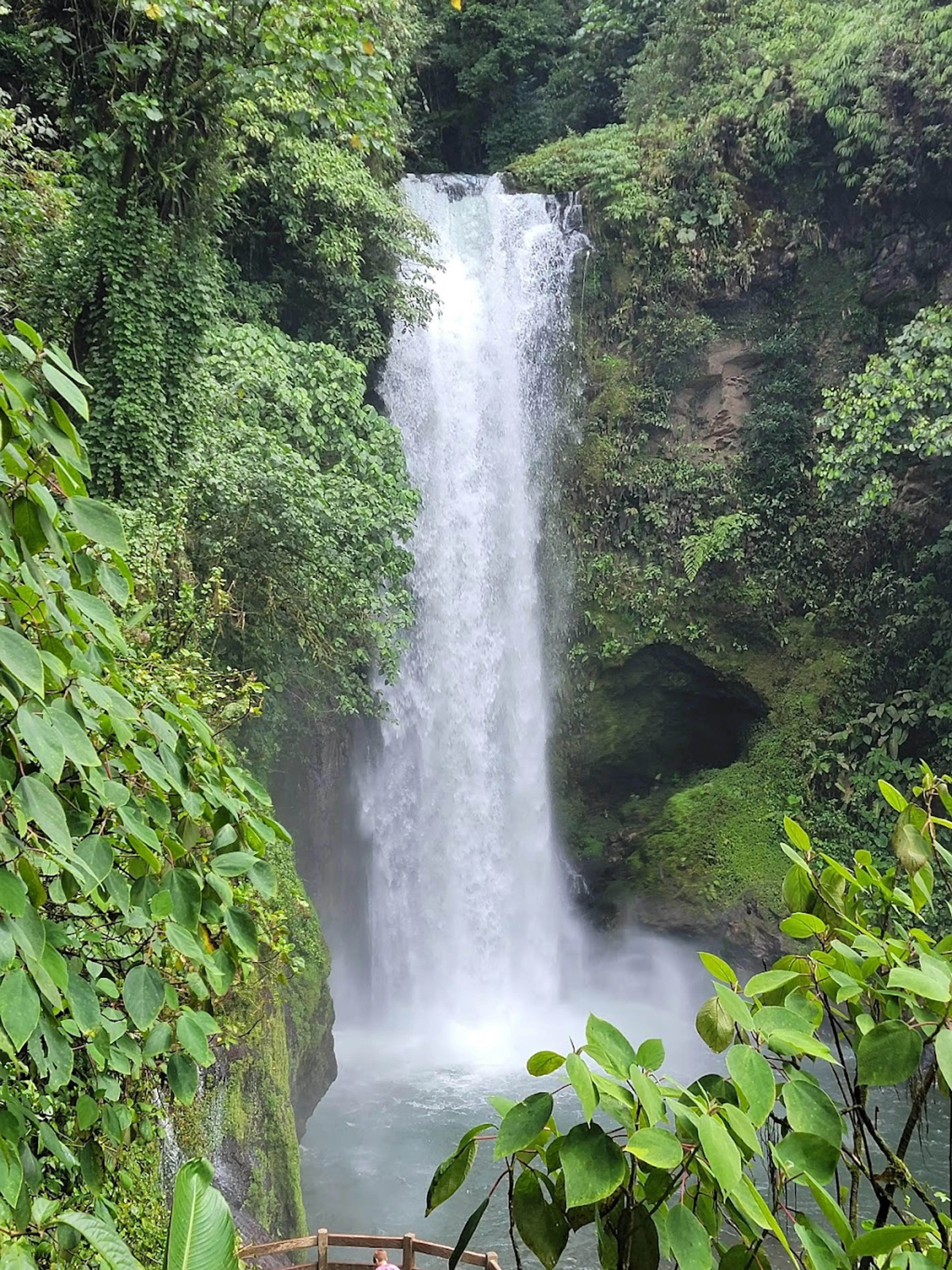 La Paz Waterfall Gardens