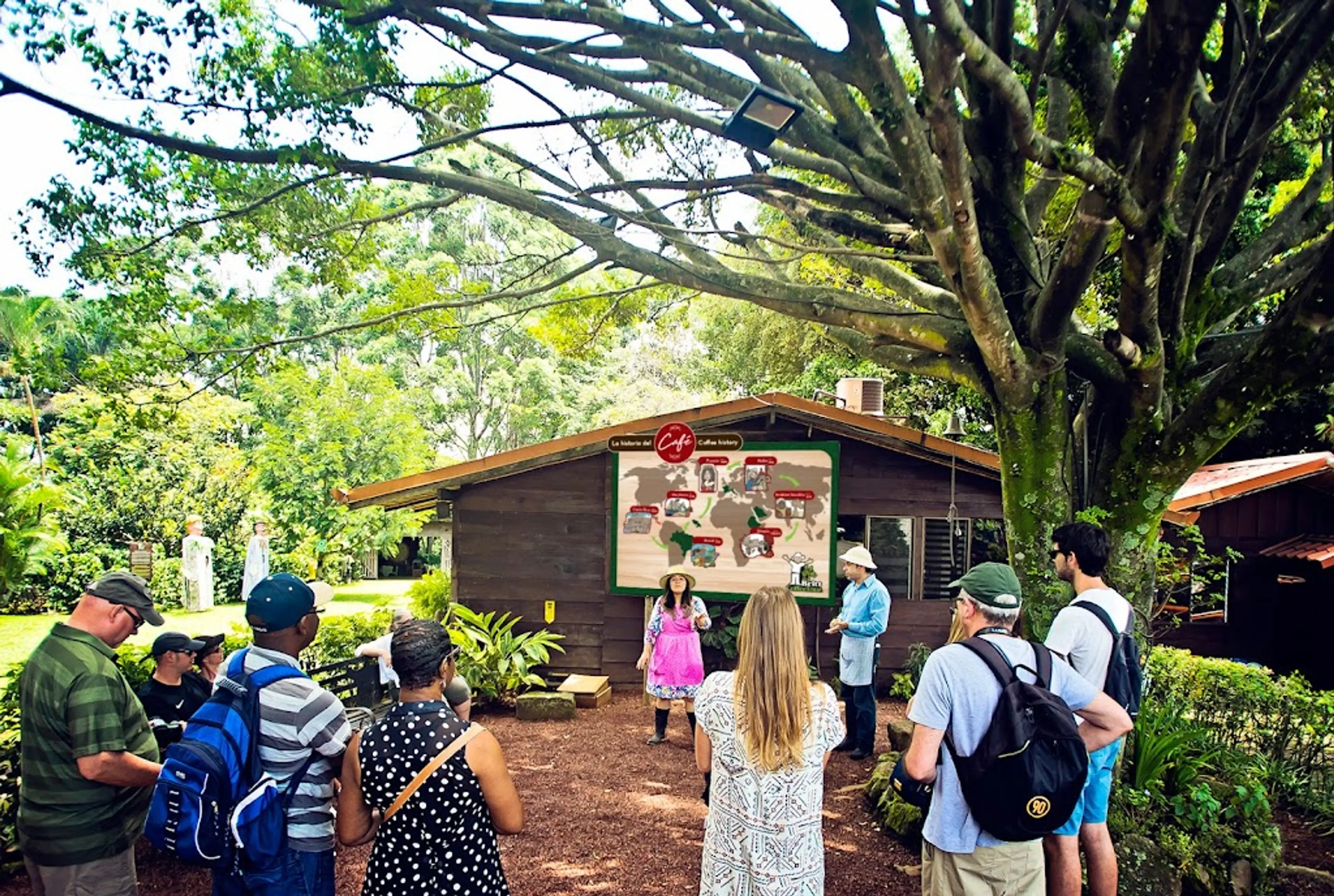 Local Coffee Plantation