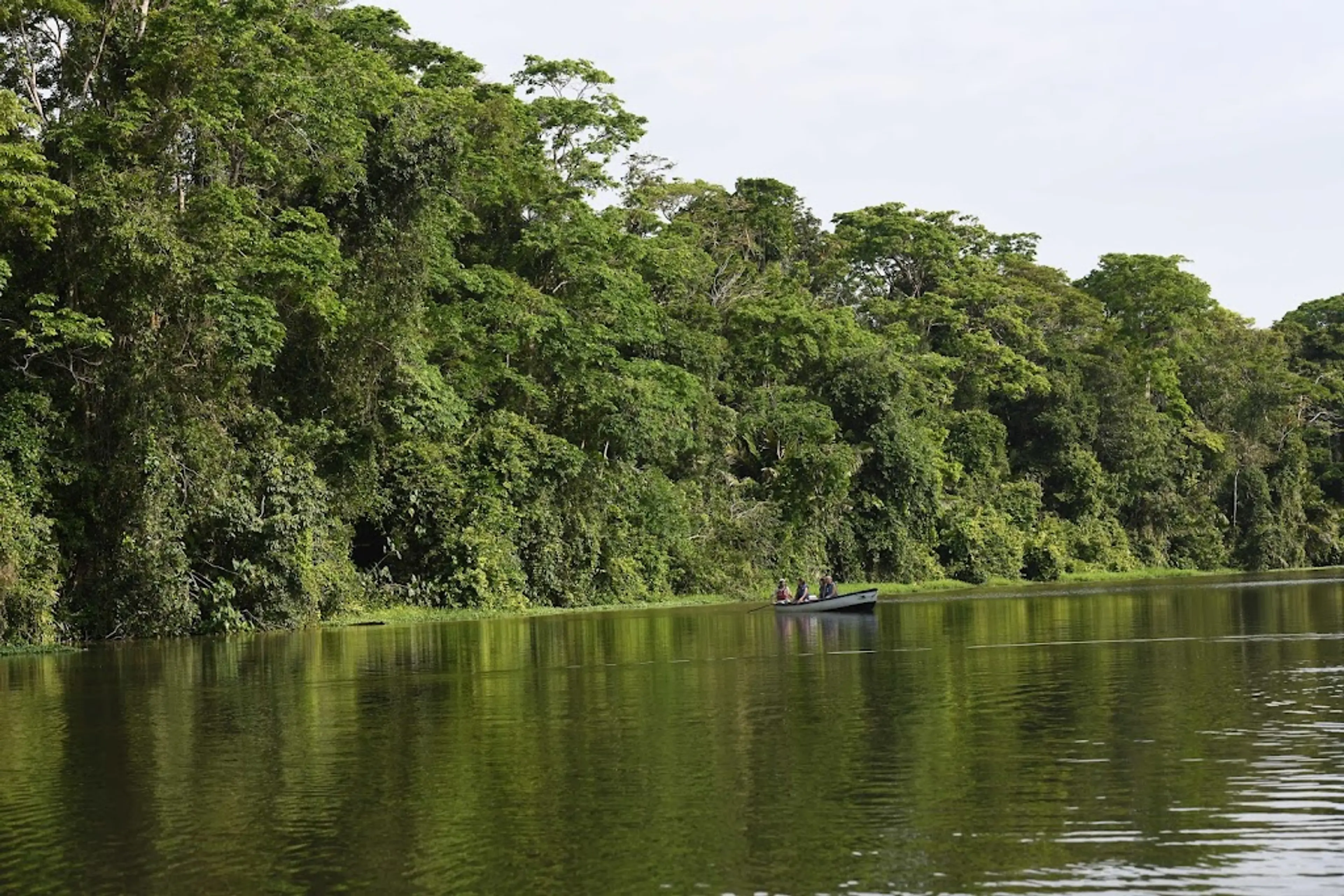 Tortuguero National Park