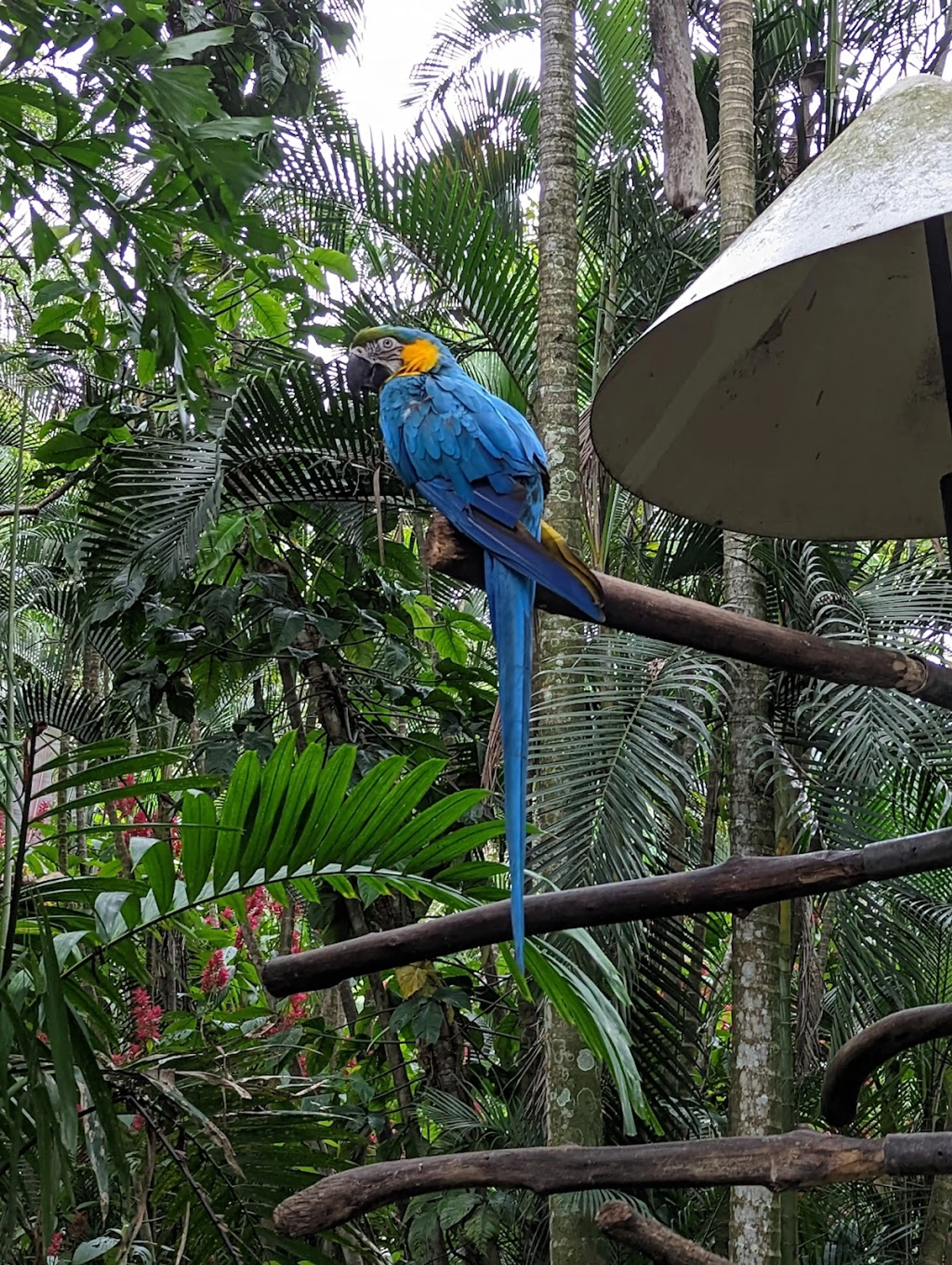 Wildlife Rescue Center