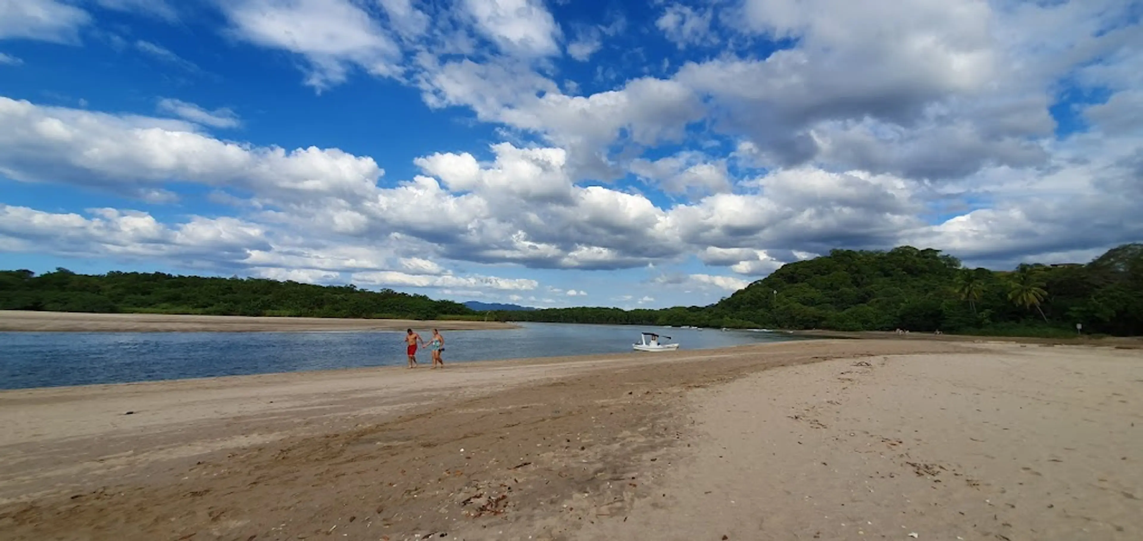 Guanacaste dry forest