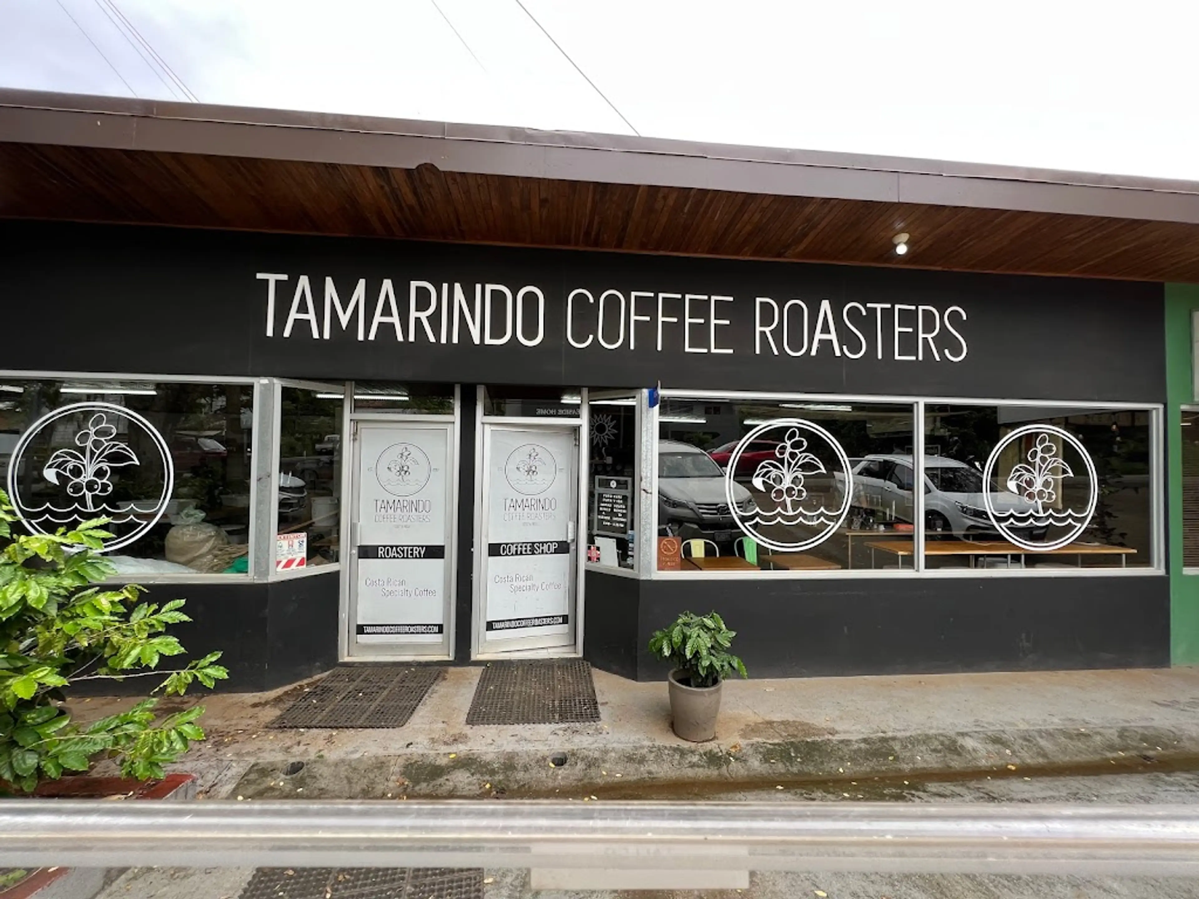 Tamarindo Coffee Plantation