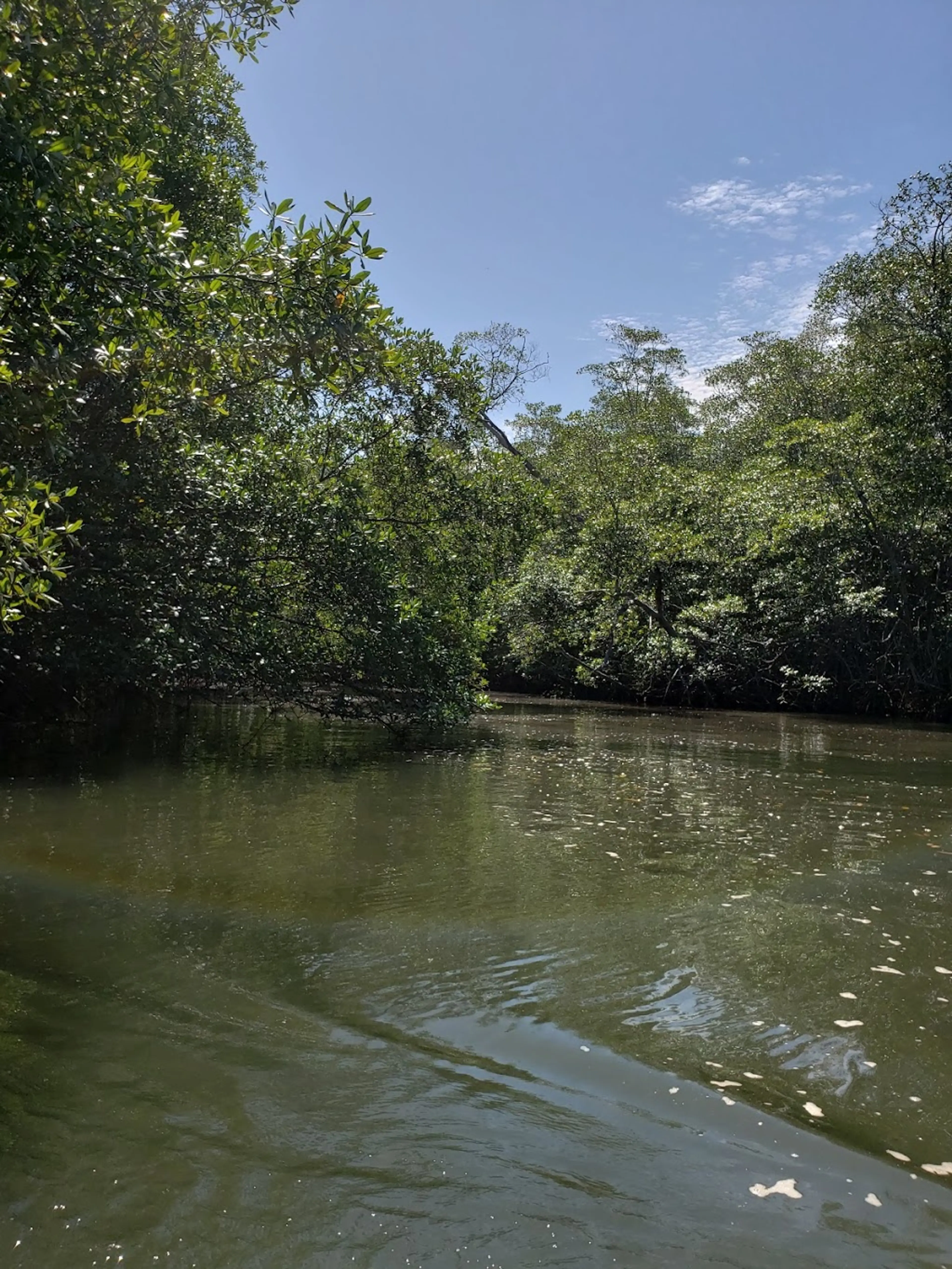 Tamarindo Estuary and Wildlife Refuge