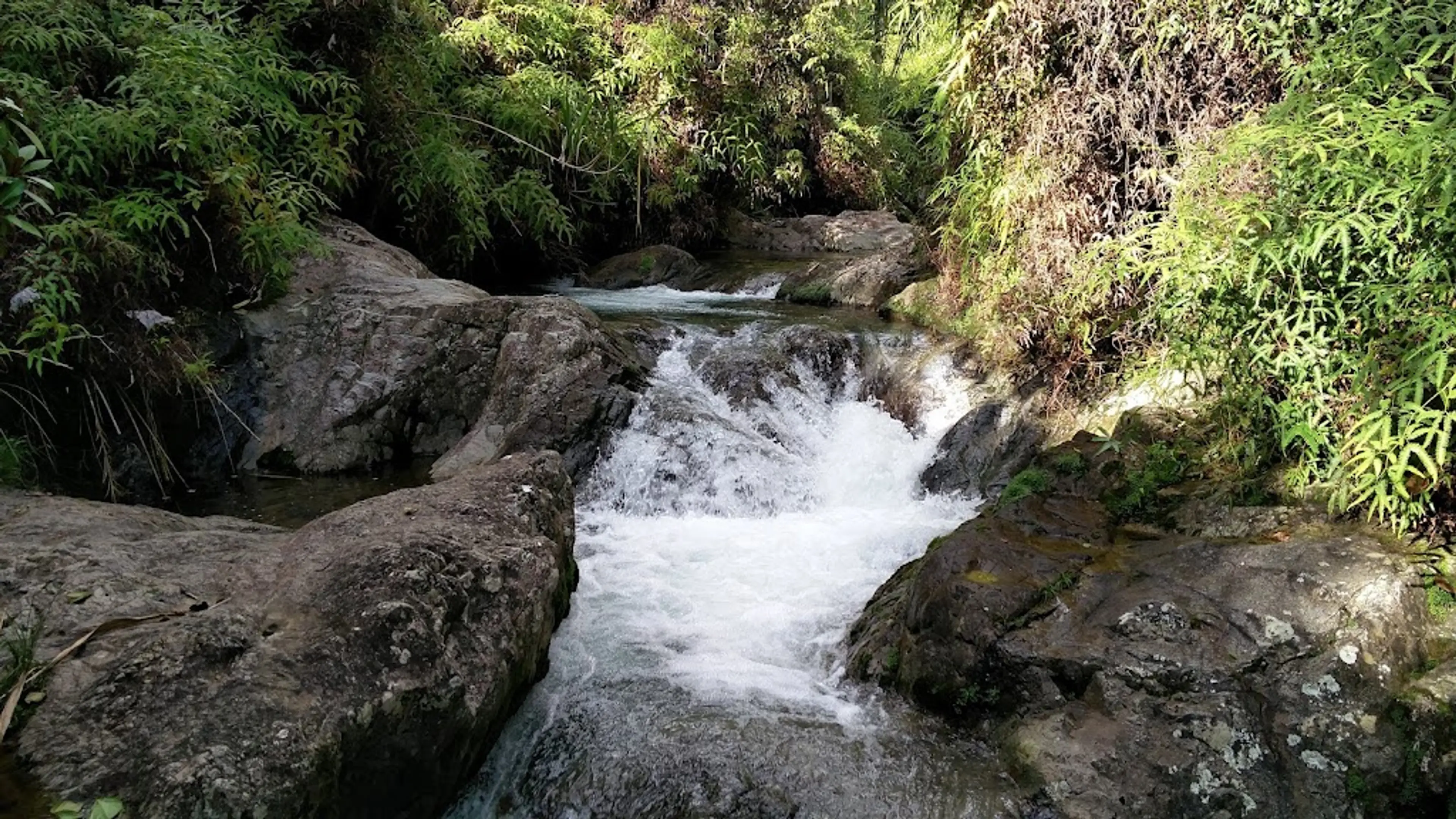 Ebano Verde Nature Reserve